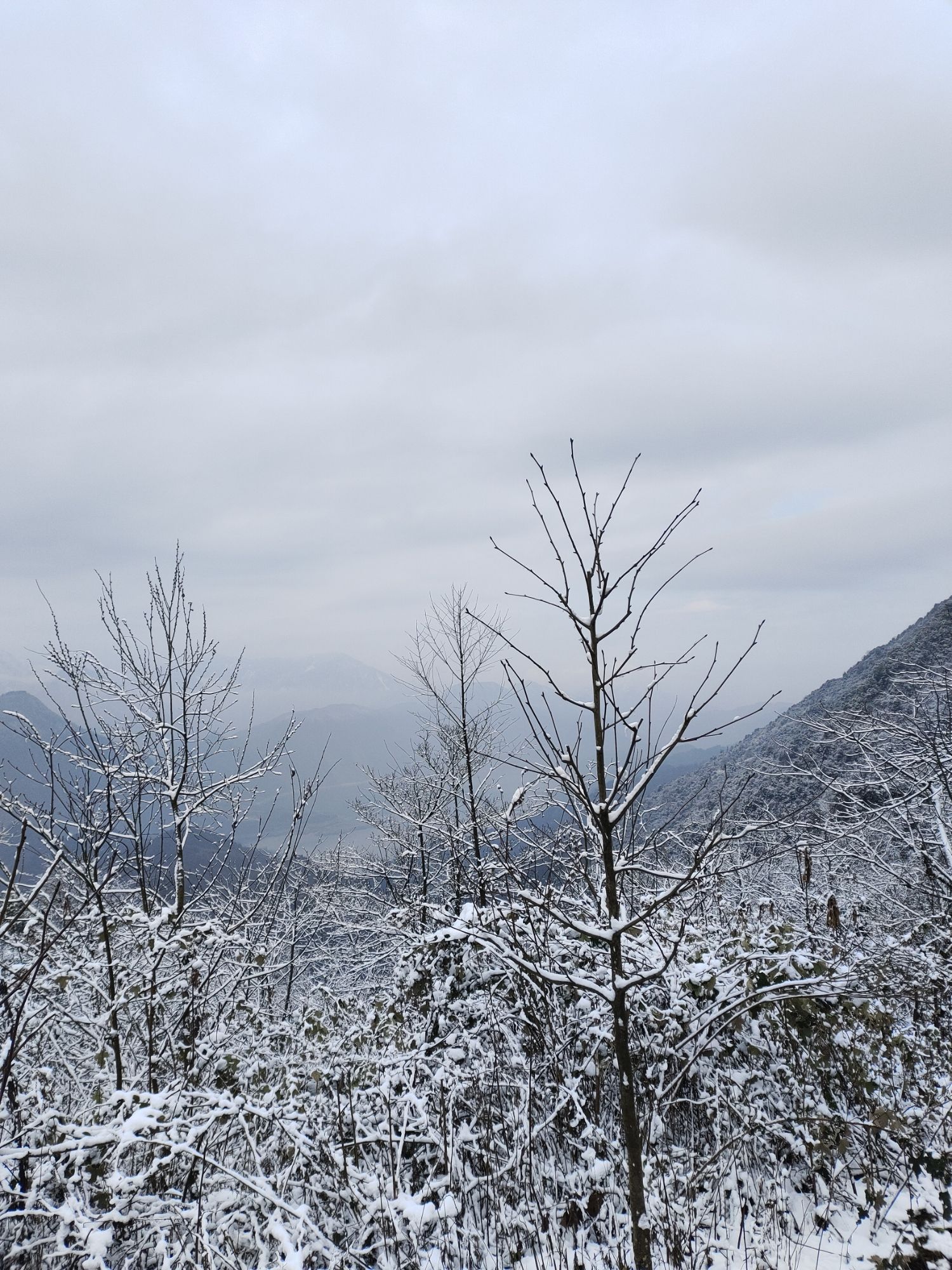 汶川无忧谷旅行图片 1