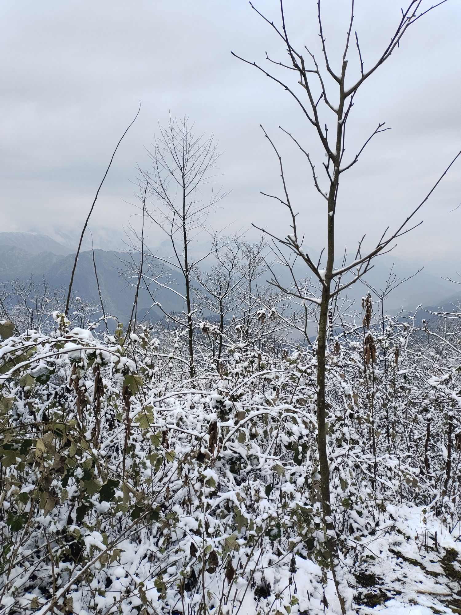 汶川无忧谷旅行图片 3