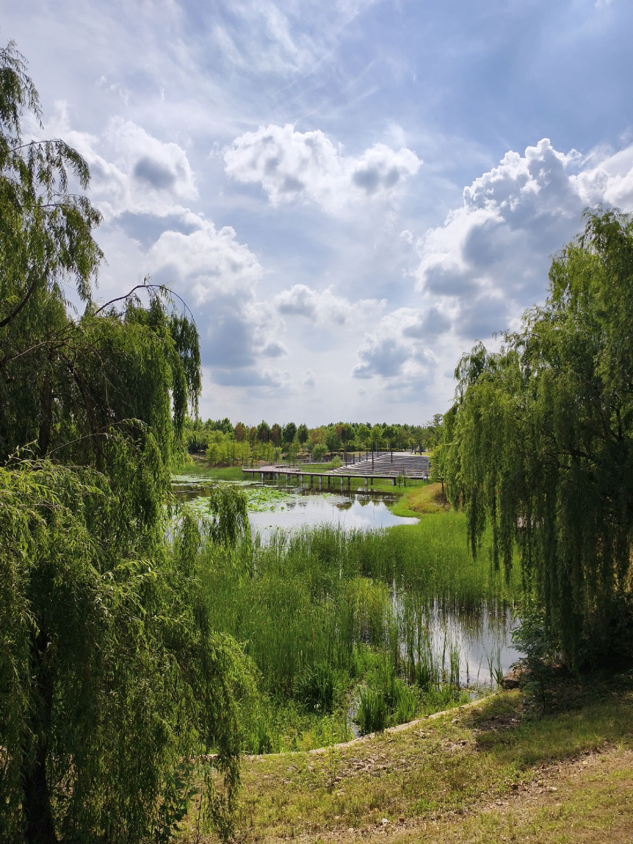 玉莲湖公园旅行图片 1