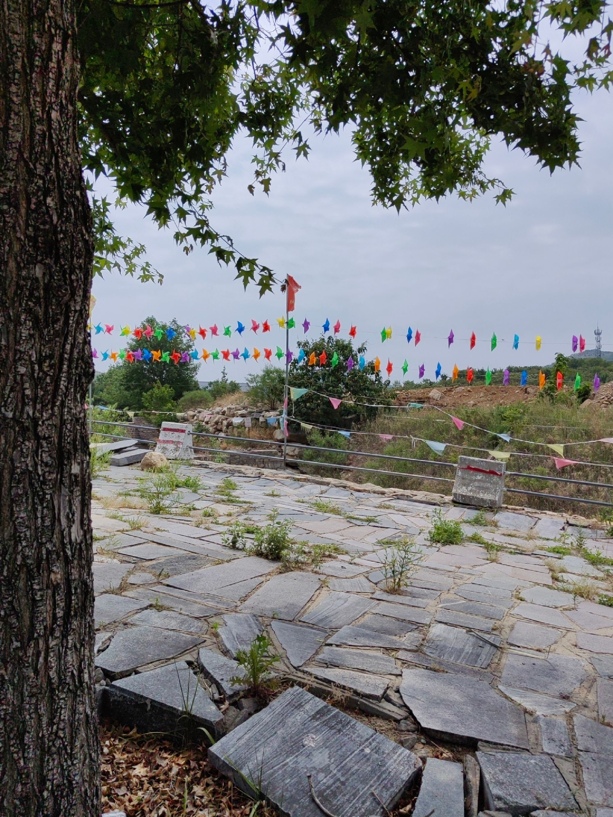 凤凰岭生态旅游区旅行图片 1