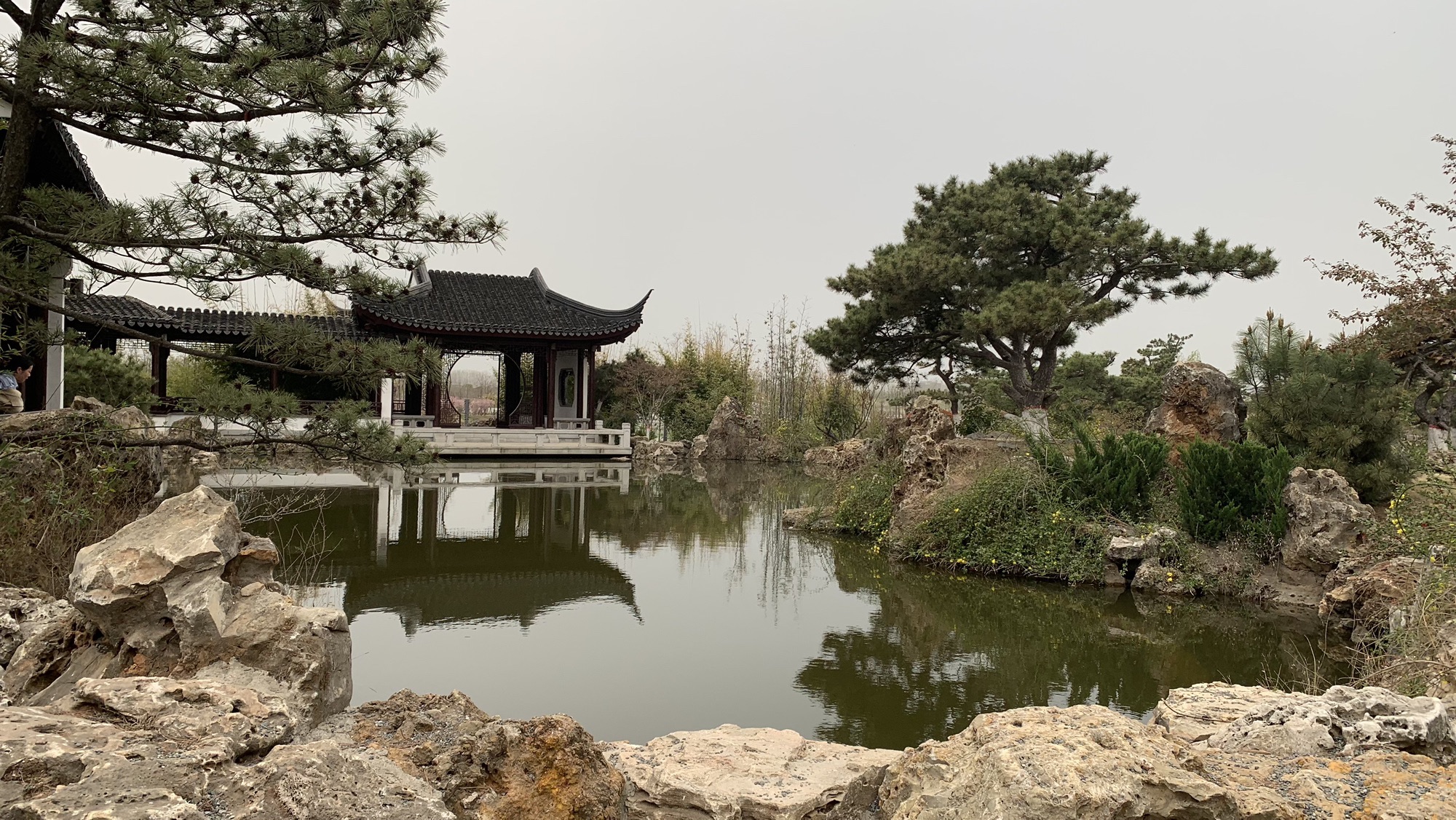 玉湖湿地公园旅行图片 2