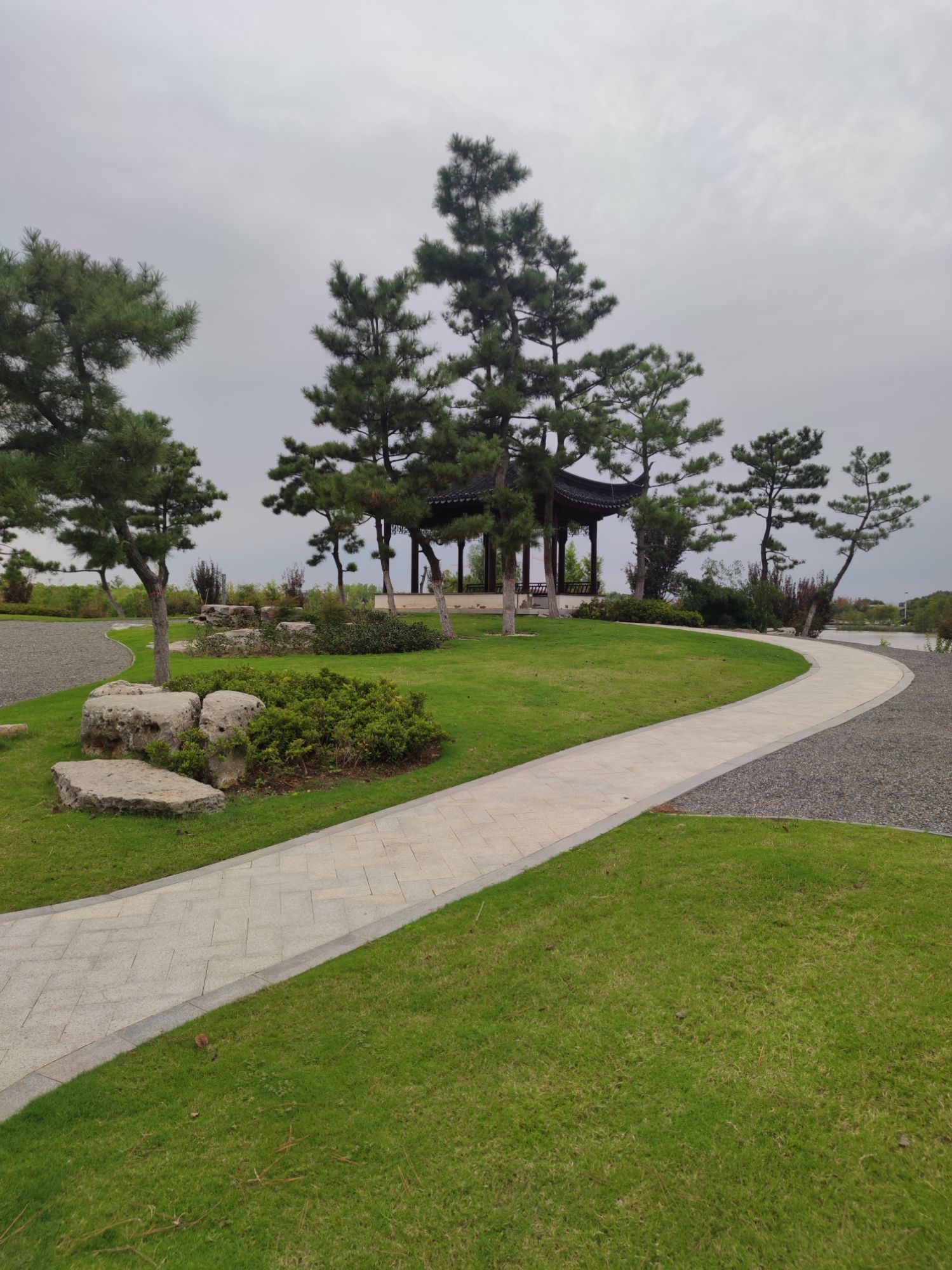 玉湖湿地公园旅行图片 1