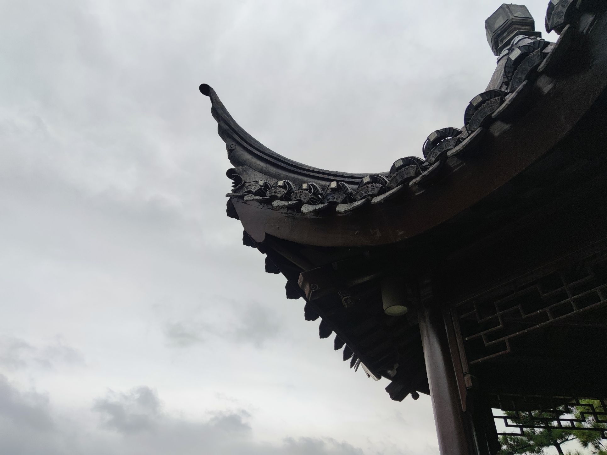 玉湖湿地公园旅行图片 1