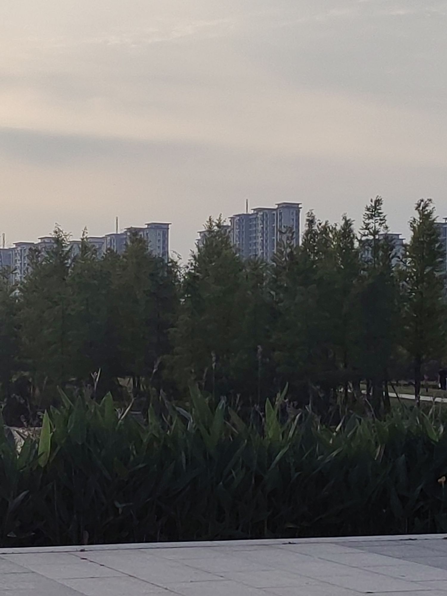 玉湖湿地公园旅行图片 3