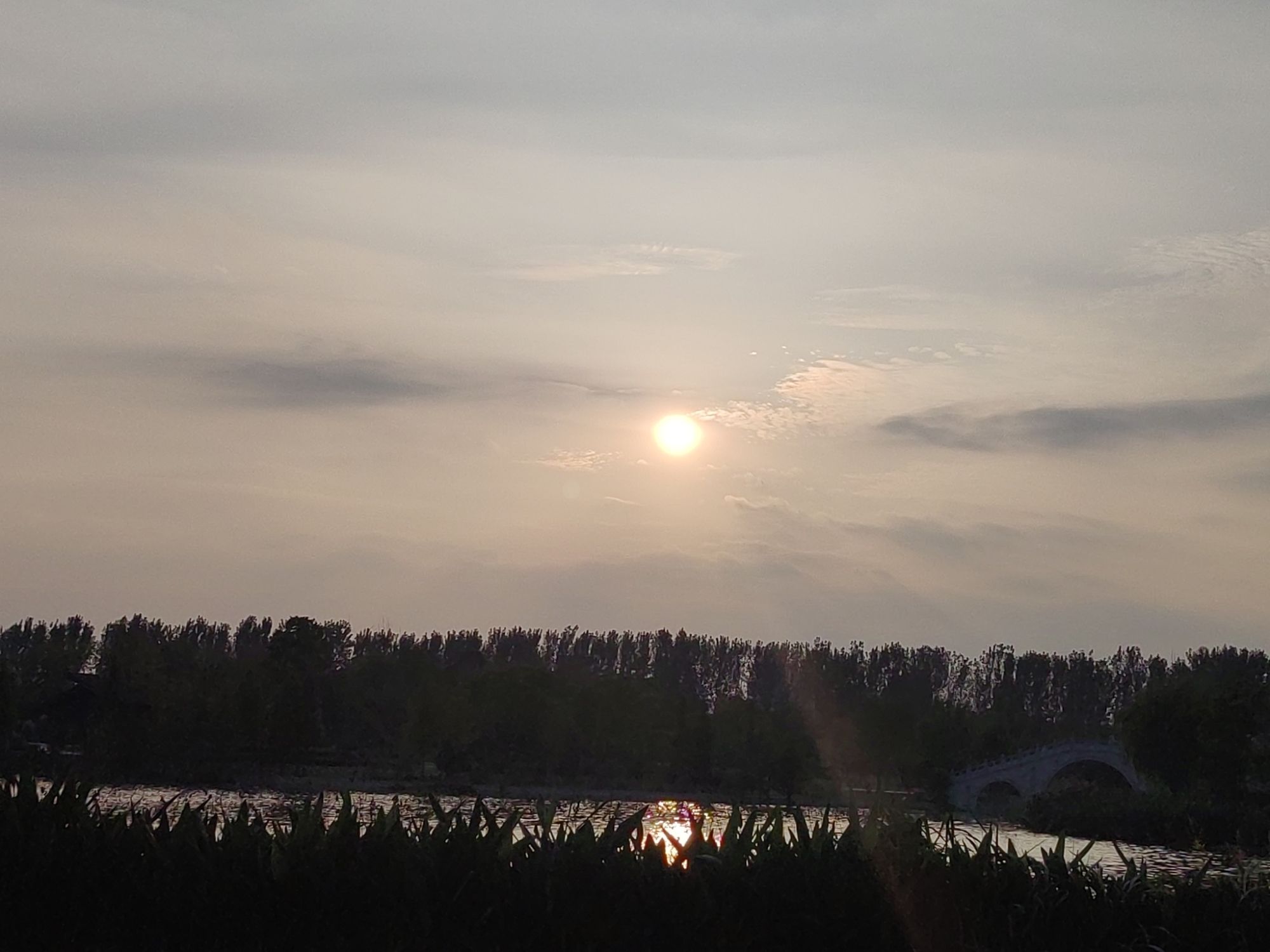 玉湖湿地公园旅行图片 1