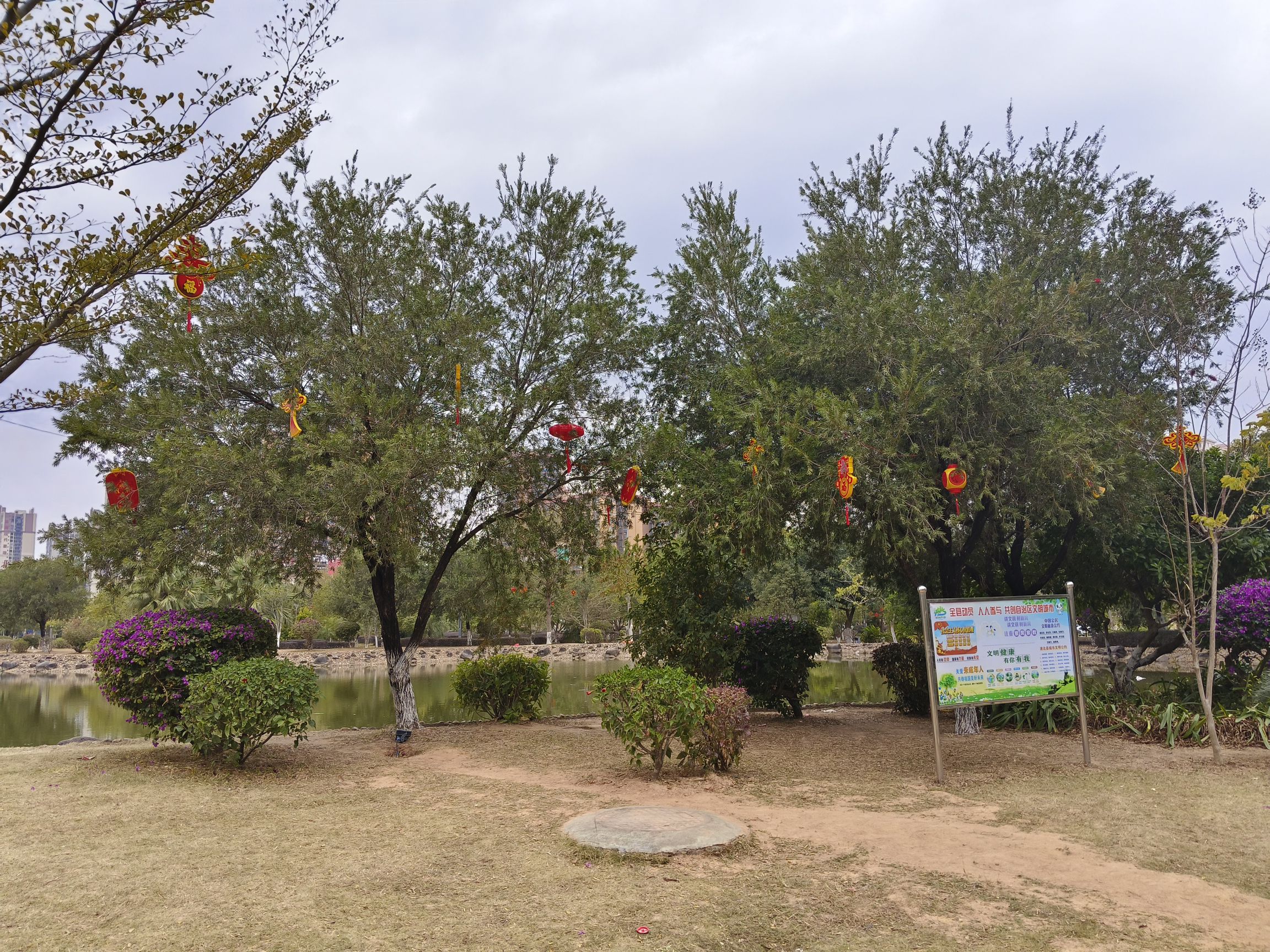 新城公园旅行图片 3