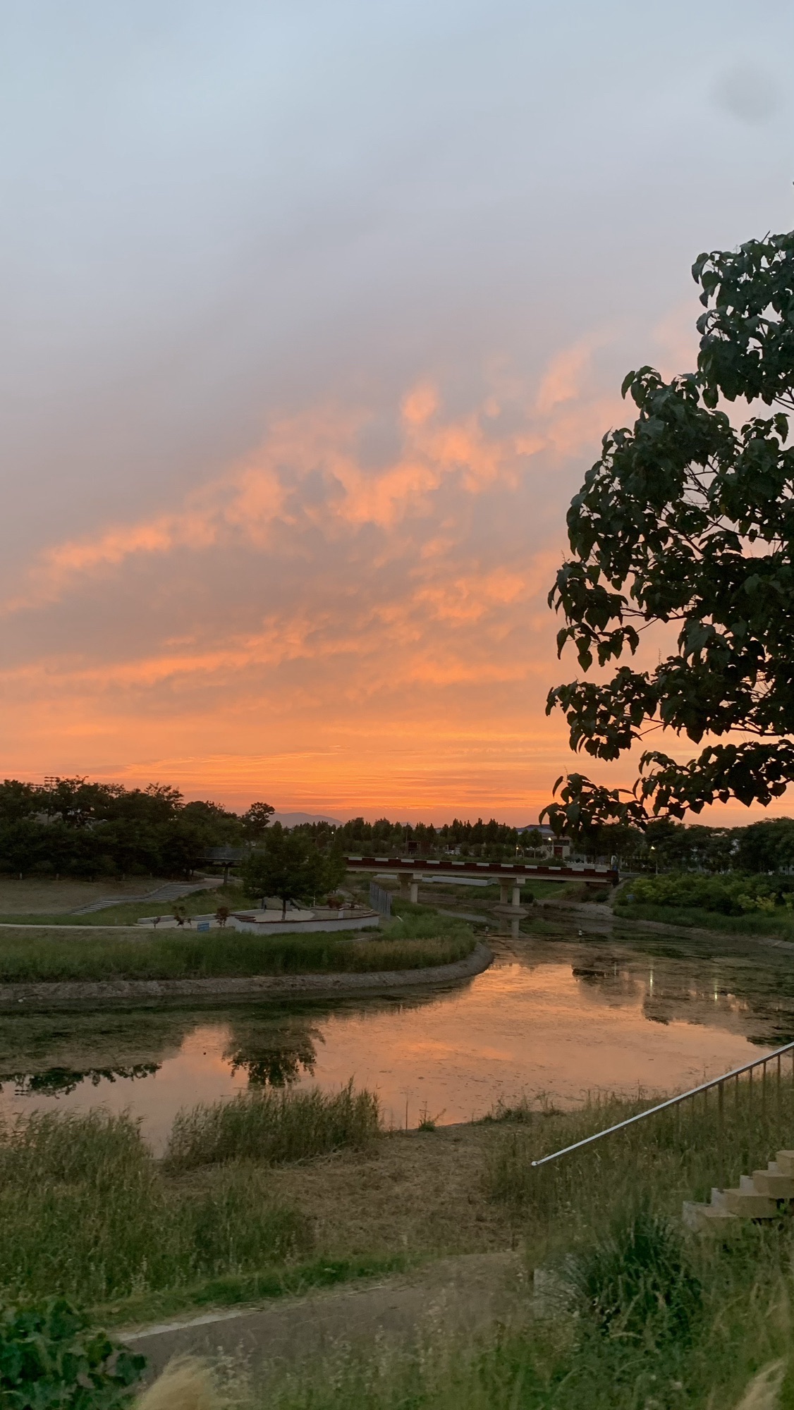 增福湖森林公园旅行图片 3
