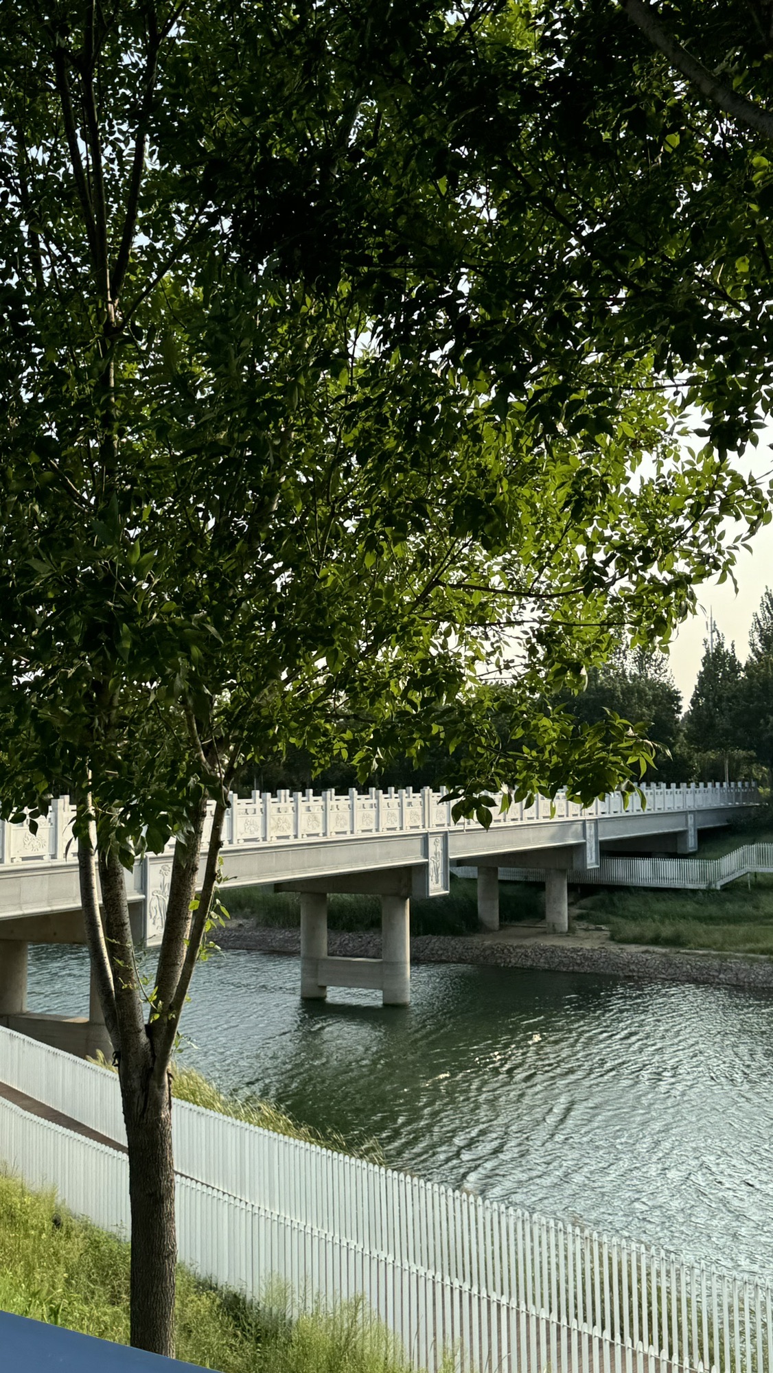增福湖森林公园旅行图片 2