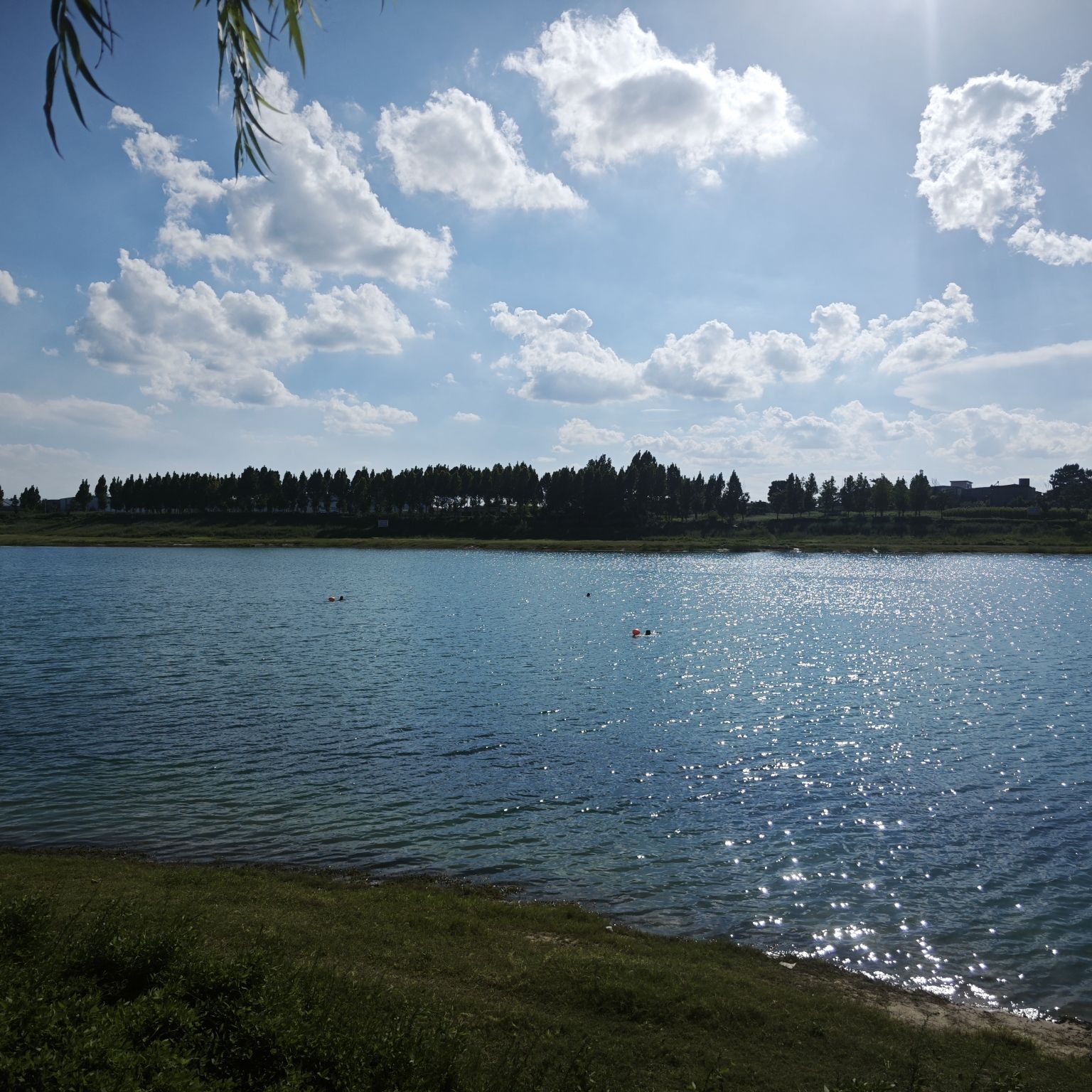 增福湖森林公园