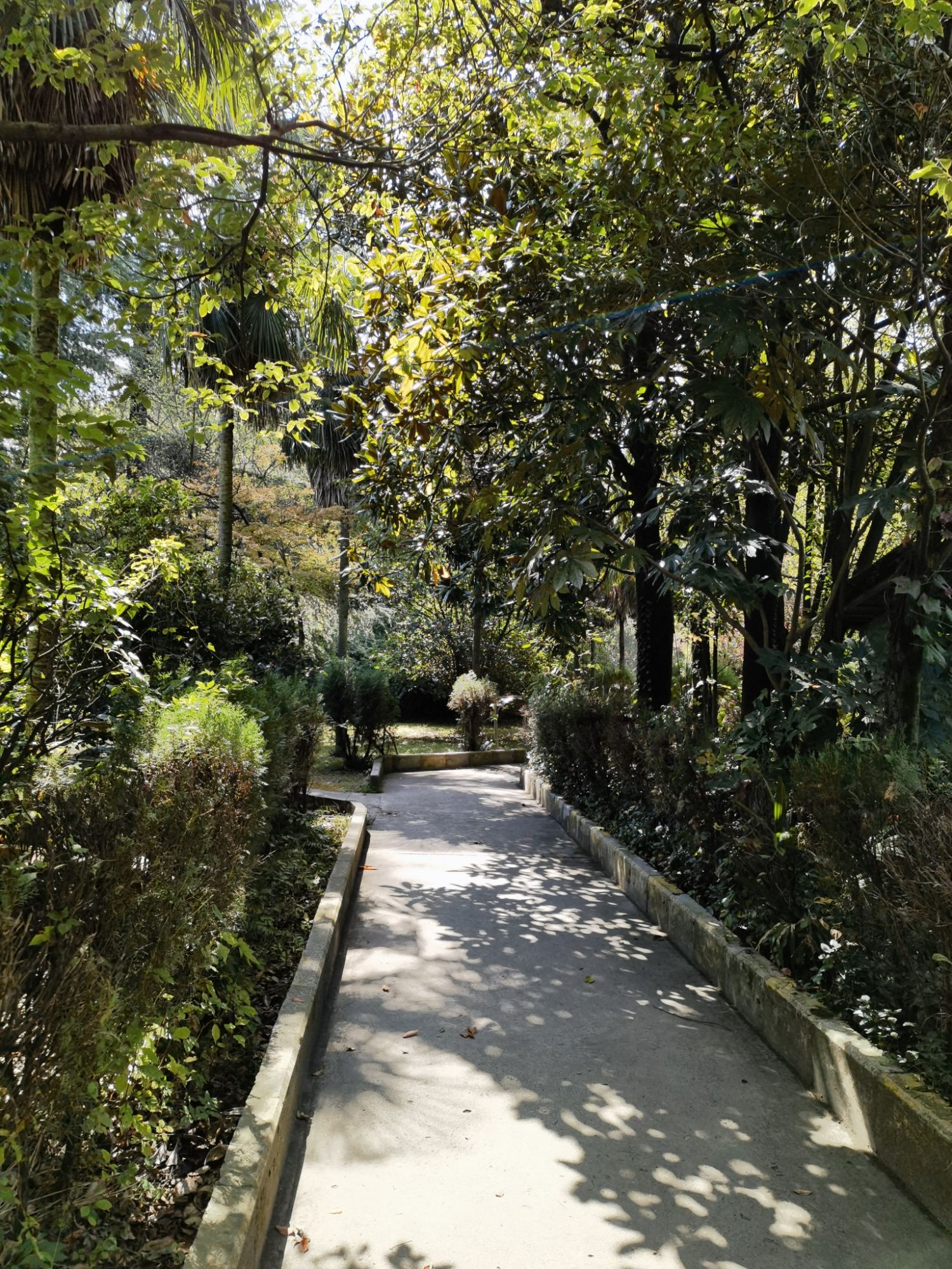 巢凤社区水晶公园旅行图片 3
