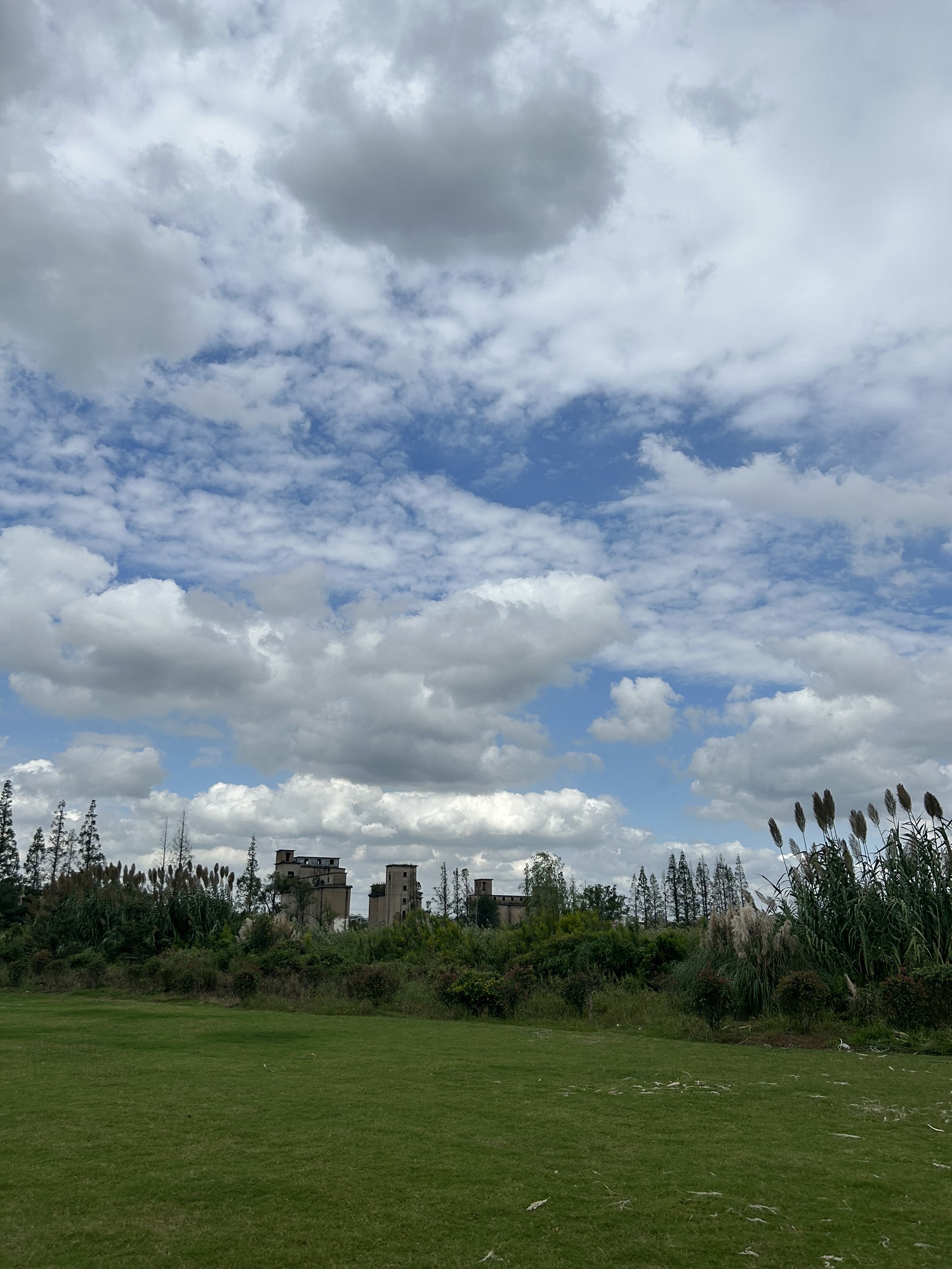 环城水系公园旅行图片 3