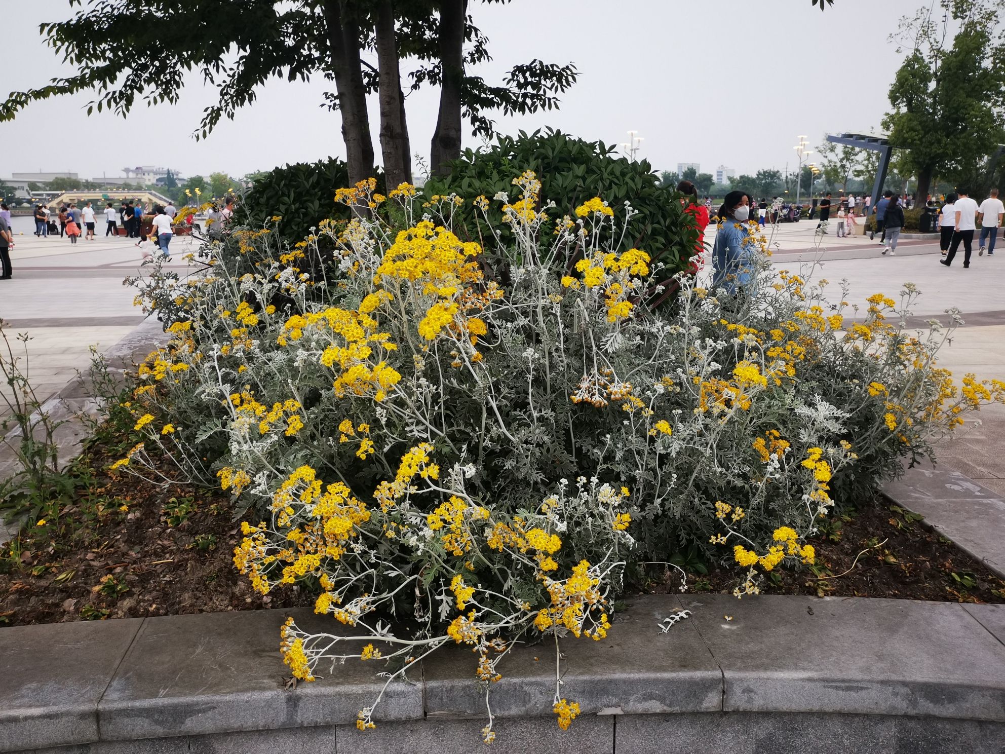 环城水系公园旅行图片 2