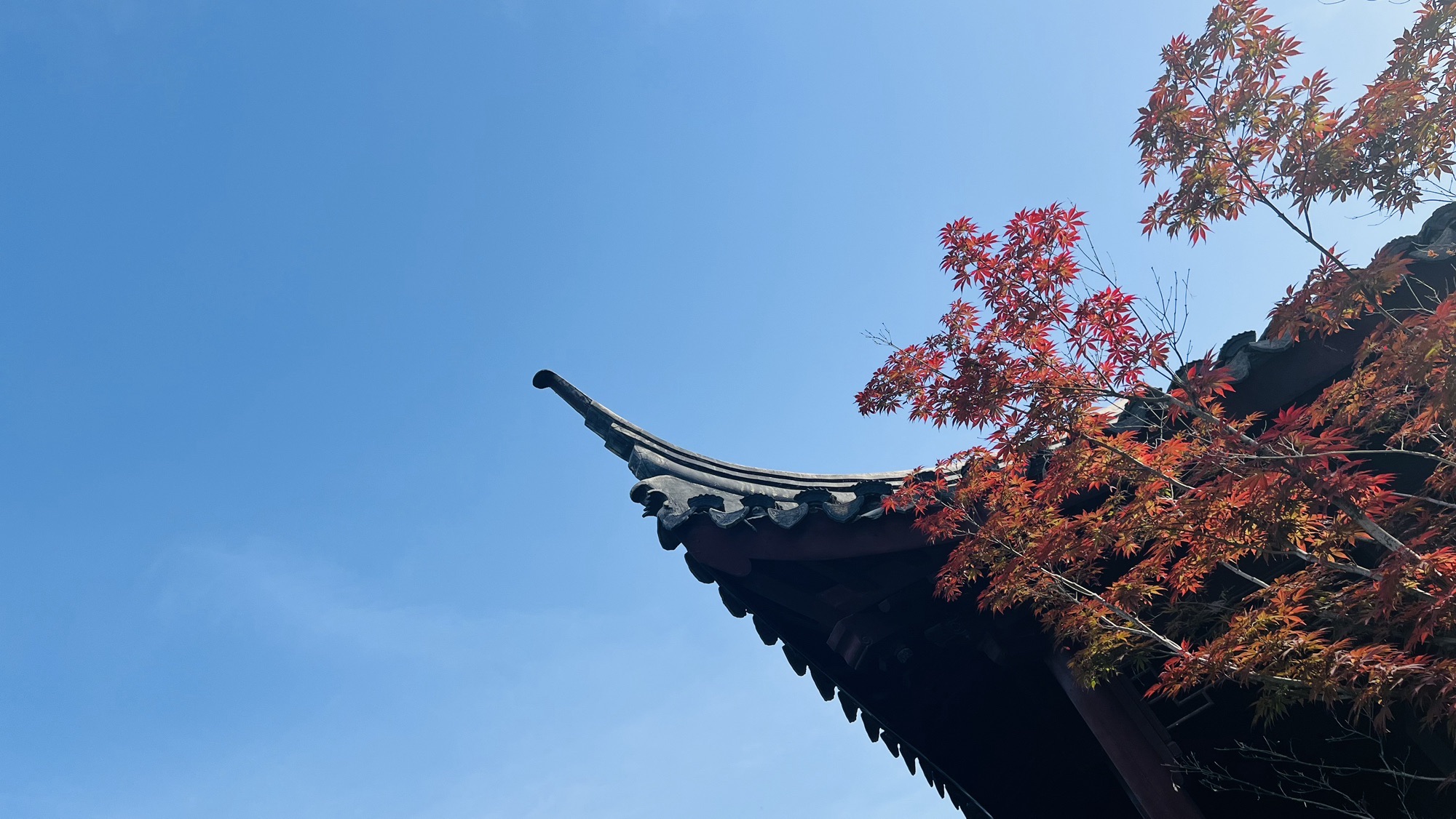 龙腰山公园旅行图片 3