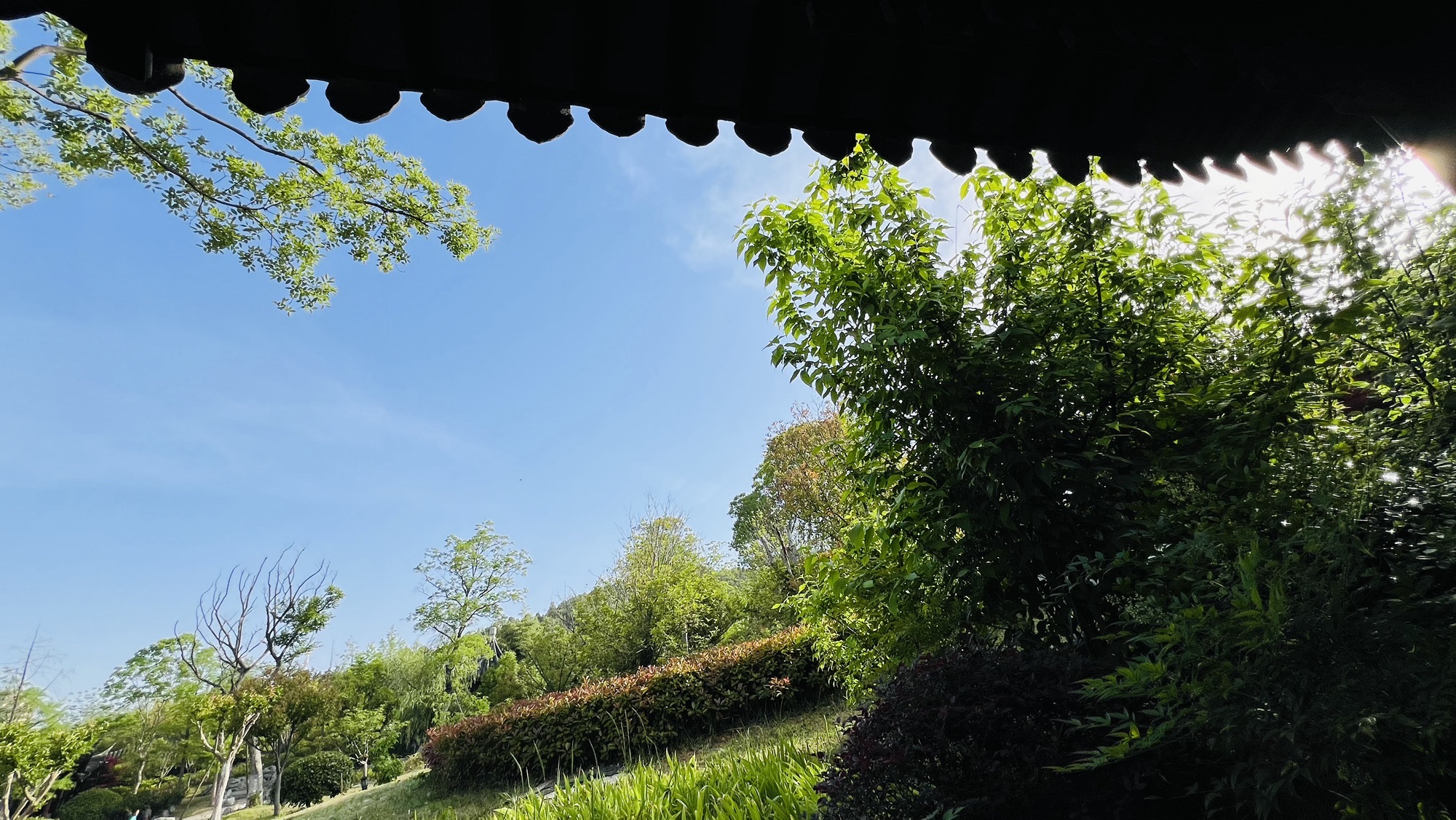 龙腰山公园旅行图片 2