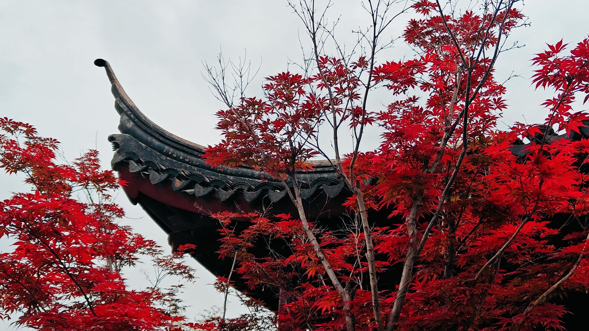 龙腰山公园旅行图片 1