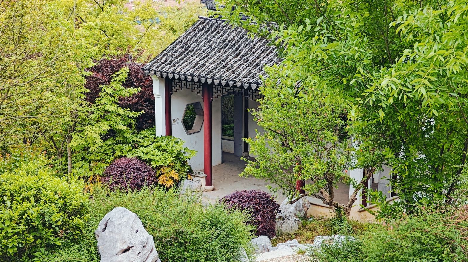 龙腰山公园旅行图片 2