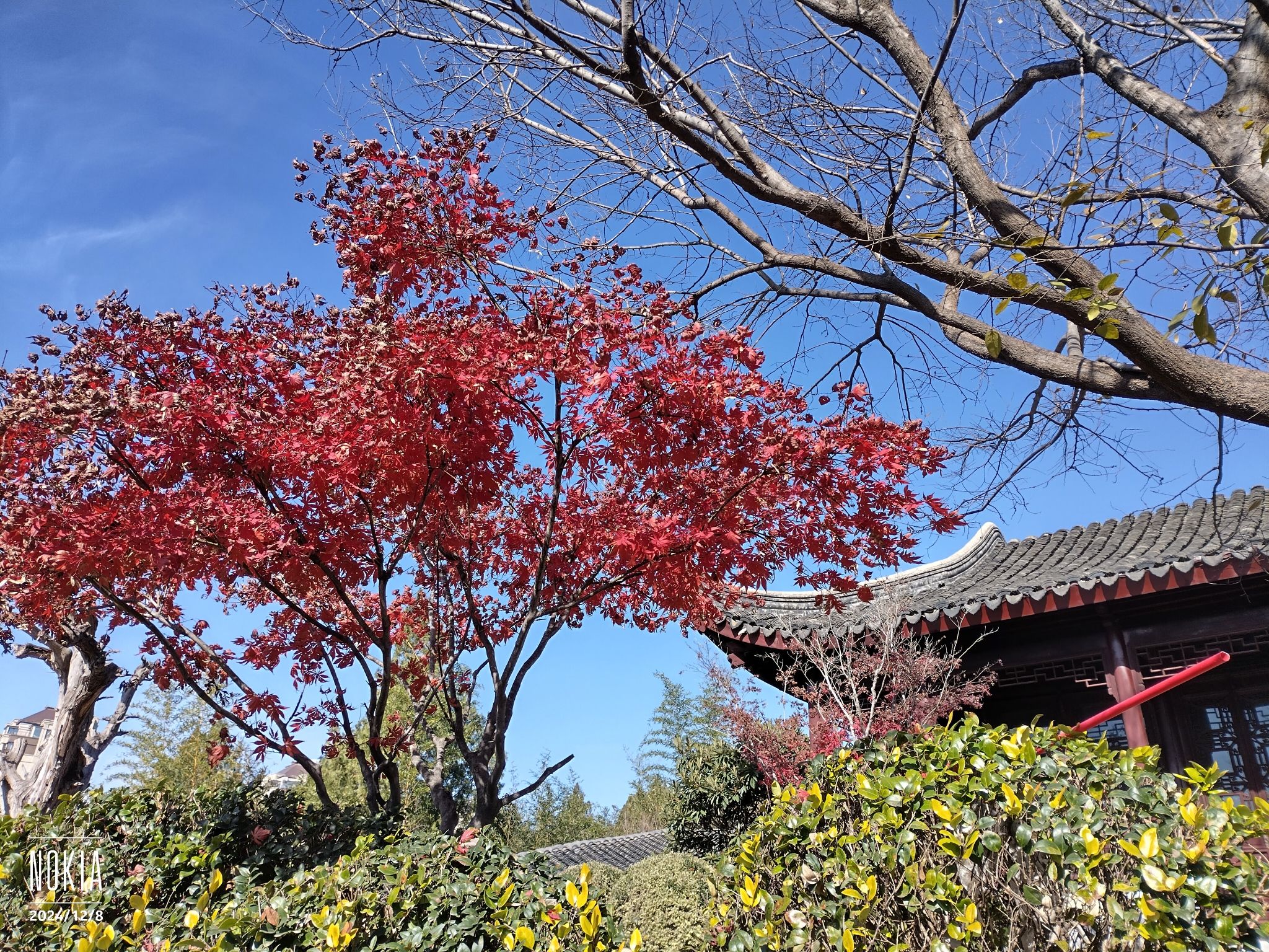 龙腰山公园旅行图片 1