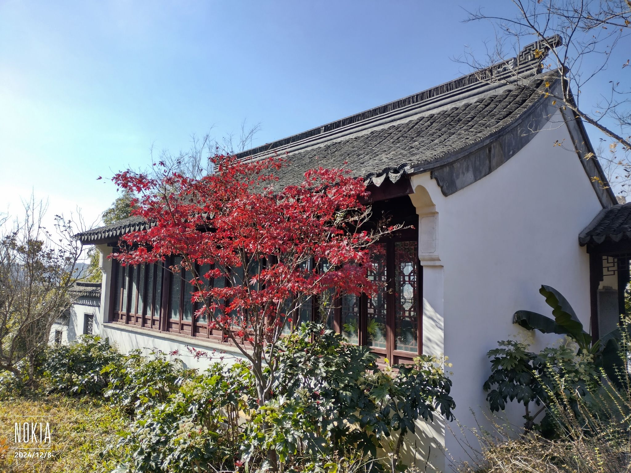 龙腰山公园旅行图片 2
