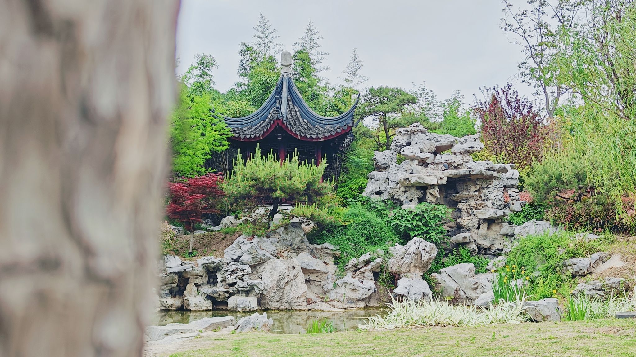 龙腰山公园旅行图片 3