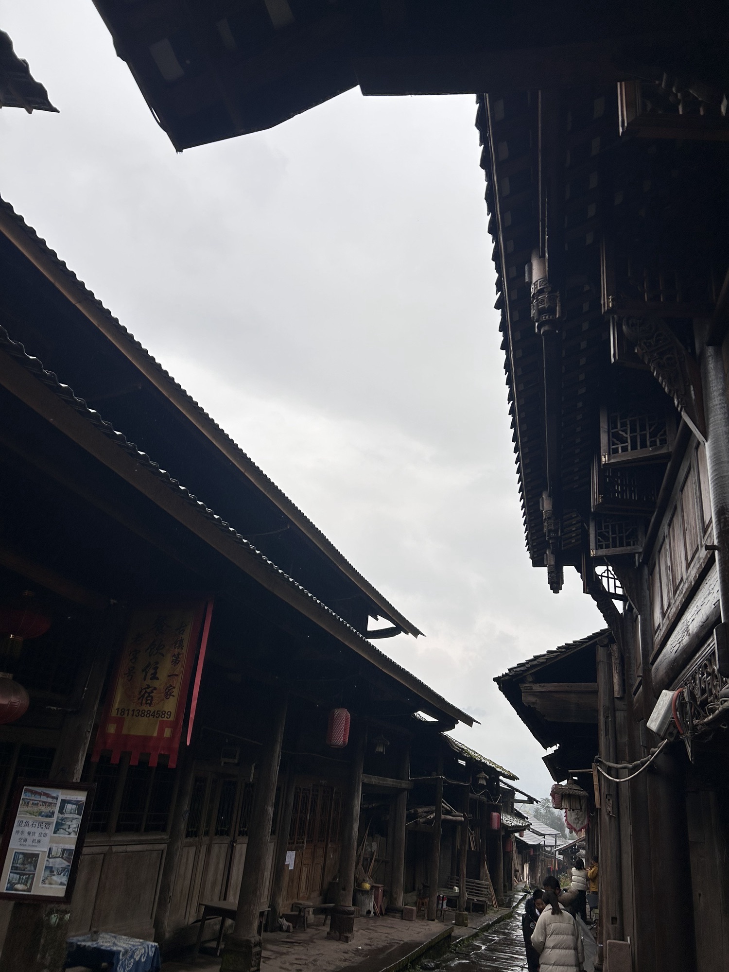 雅安海子山国际生态康养旅游度假区旅行图片 2