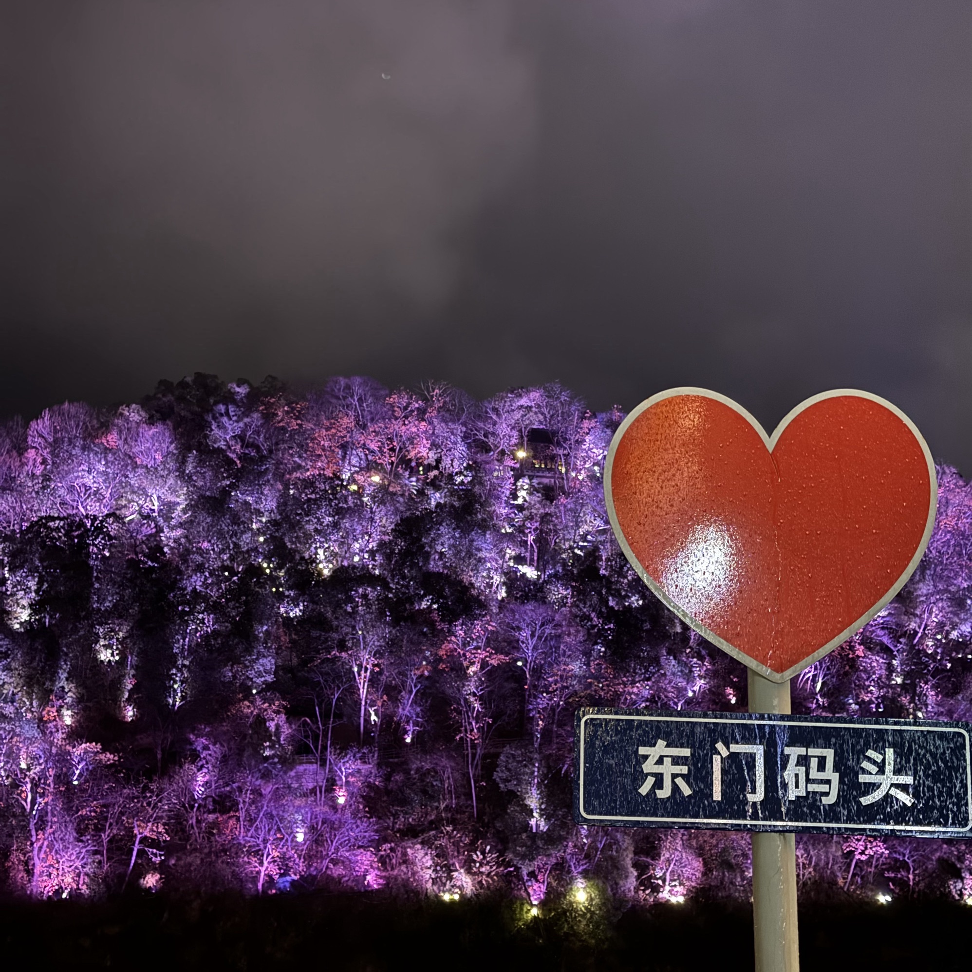 富春江夜游旅行图片 1