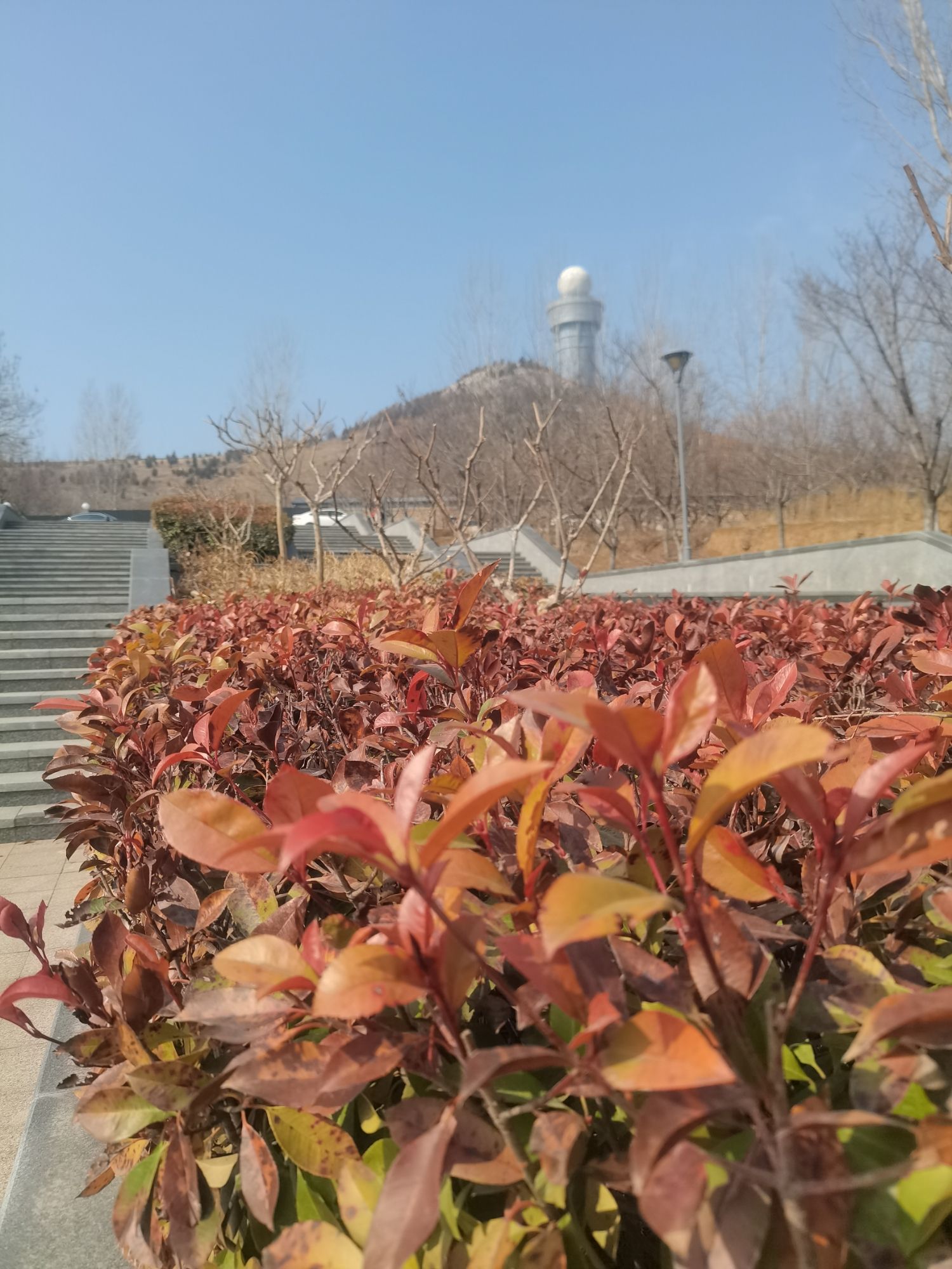 凤凰山公园旅行图片 2