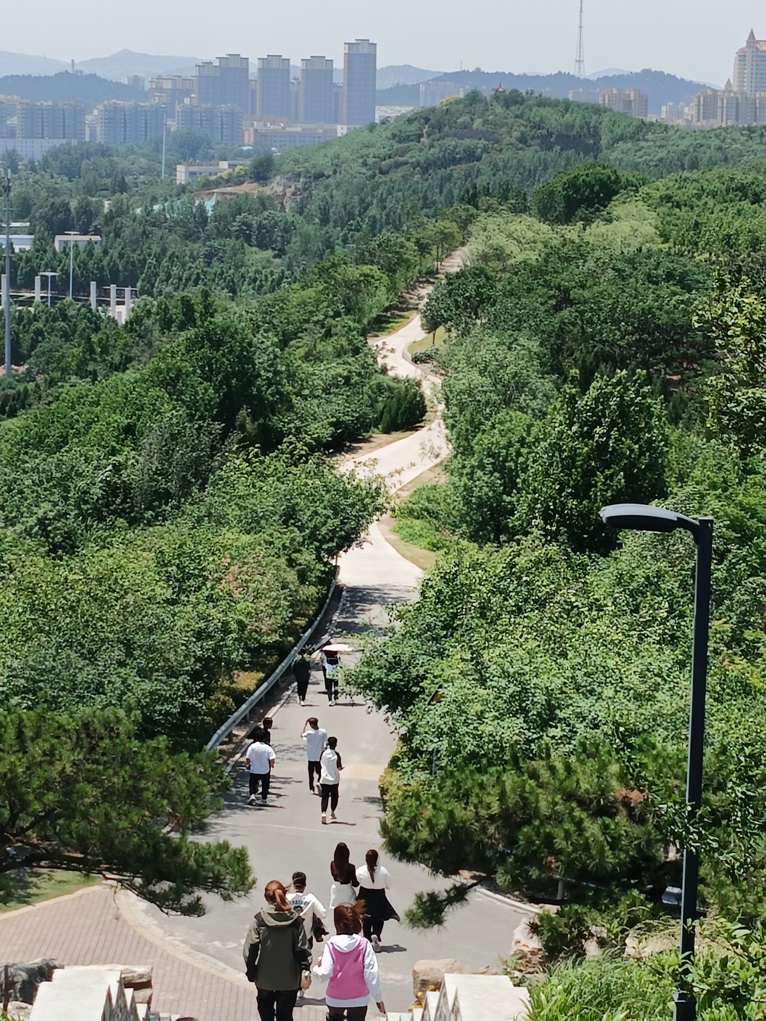 凤凰山公园旅行图片 1