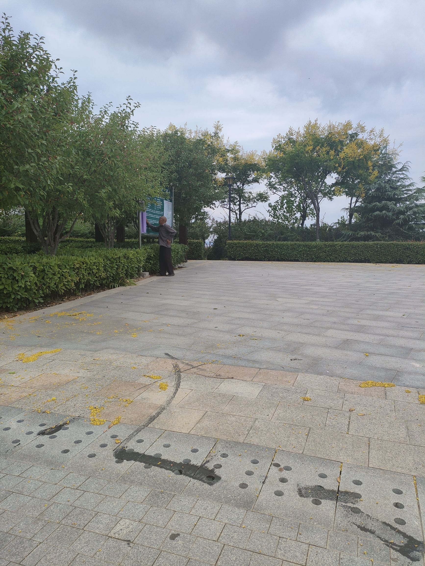 凤凰山公园旅行图片 2