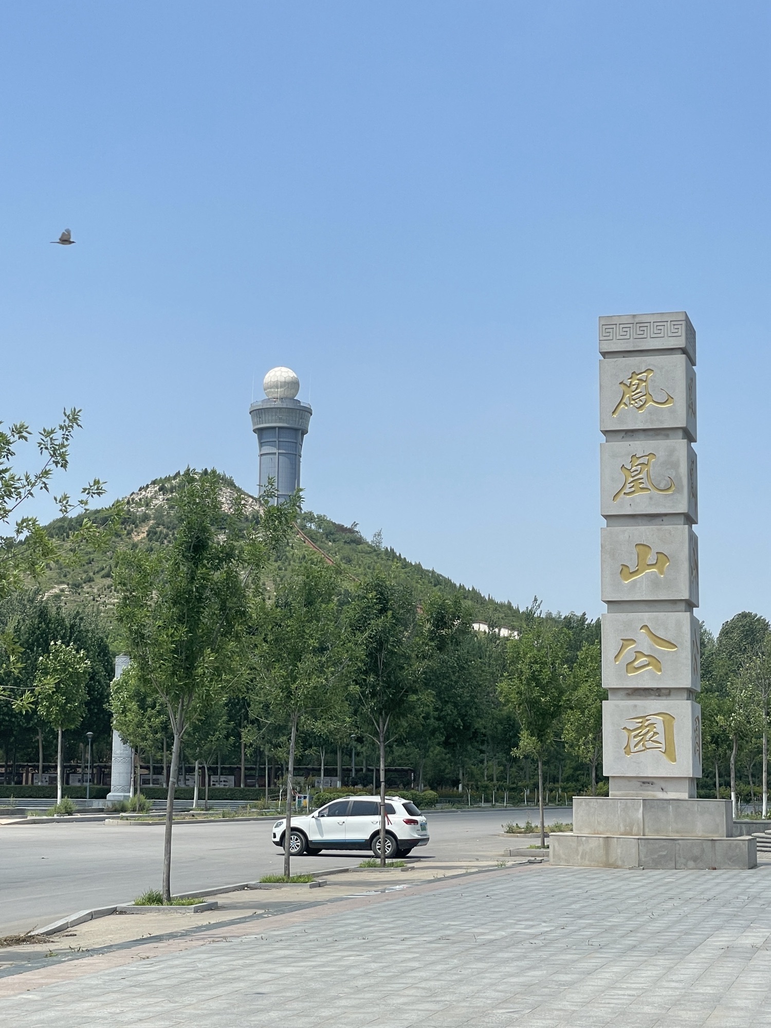 凤凰山公园旅行图片 3