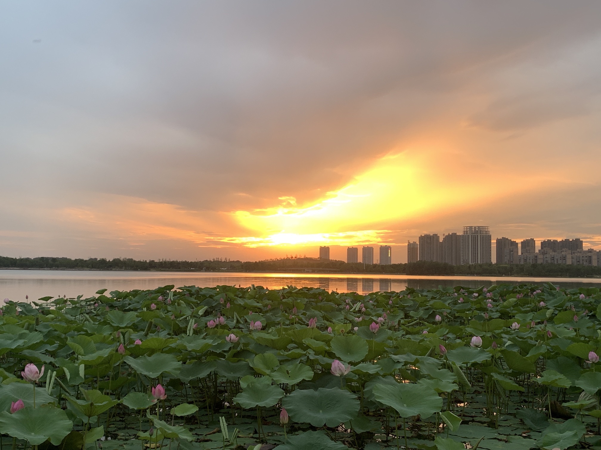 汝南县市民文化公园旅行图片 2
