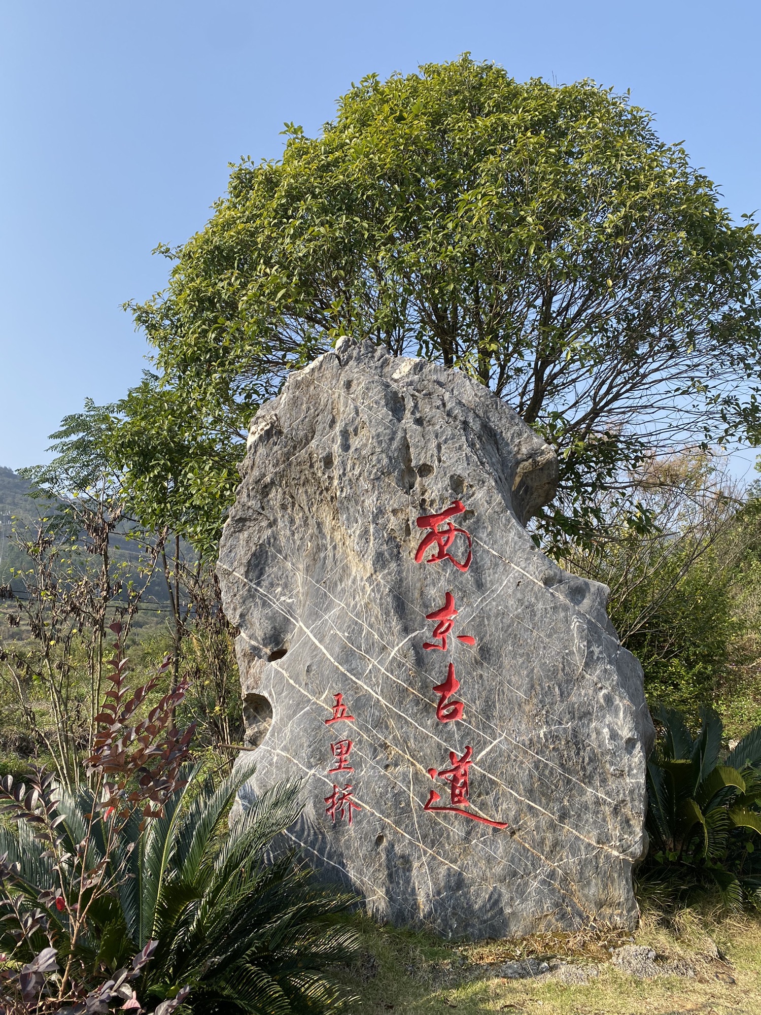 古道文化森林公园旅行图片 1