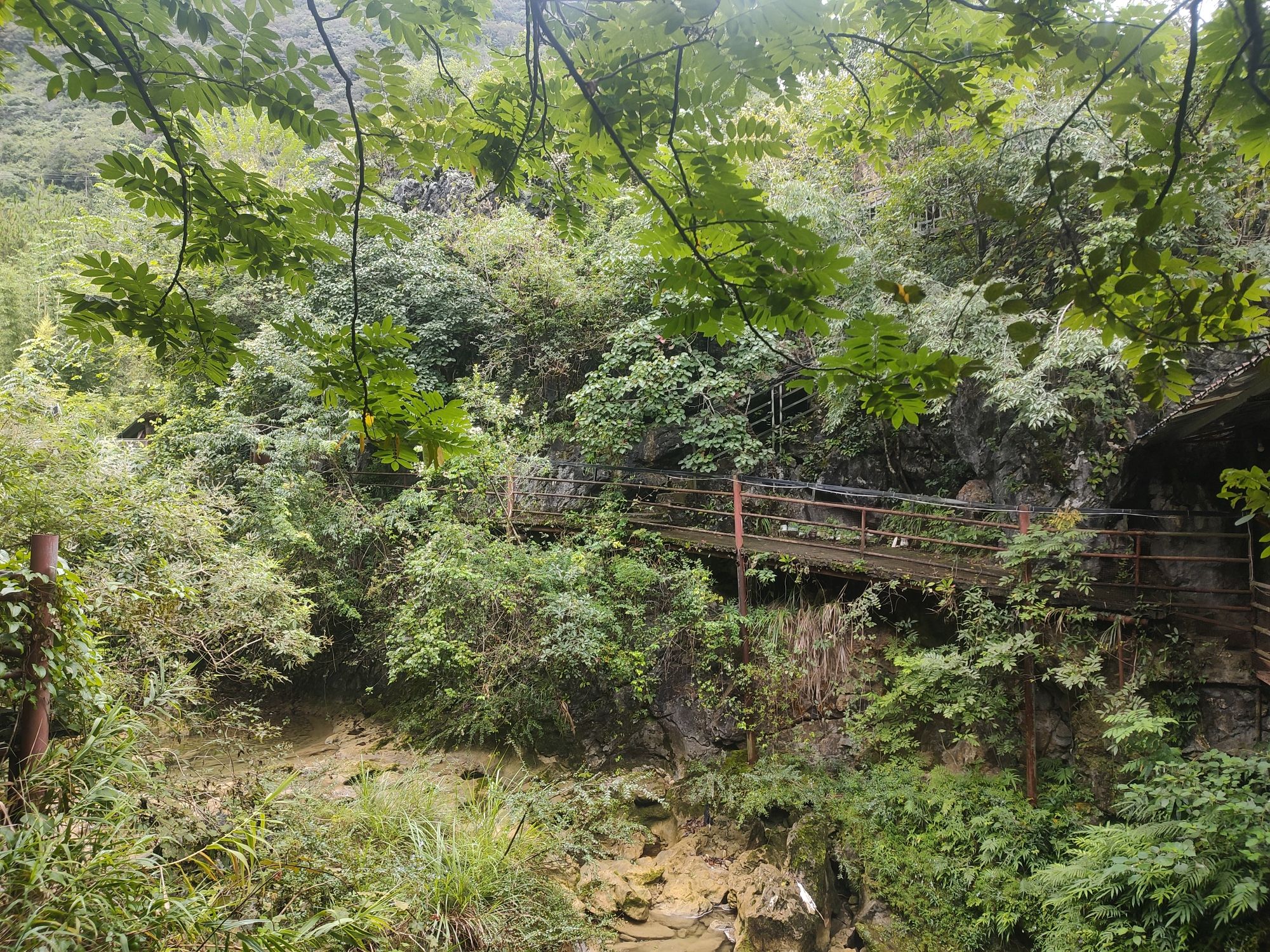 古道文化森林公园旅行图片 2