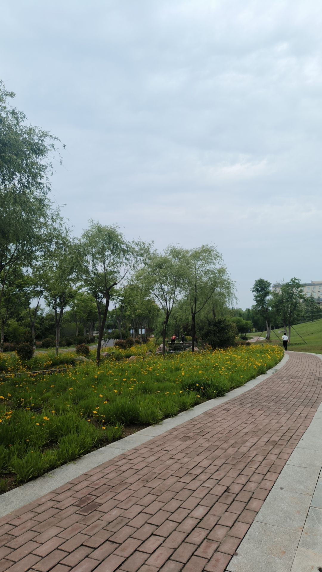 龙泉谷公园旅行图片 1