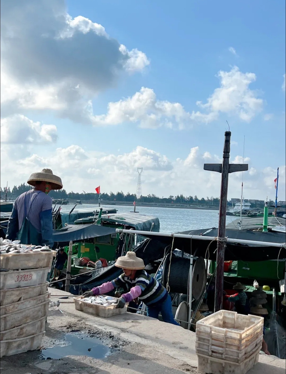 锦和沙滩旅行图片 1