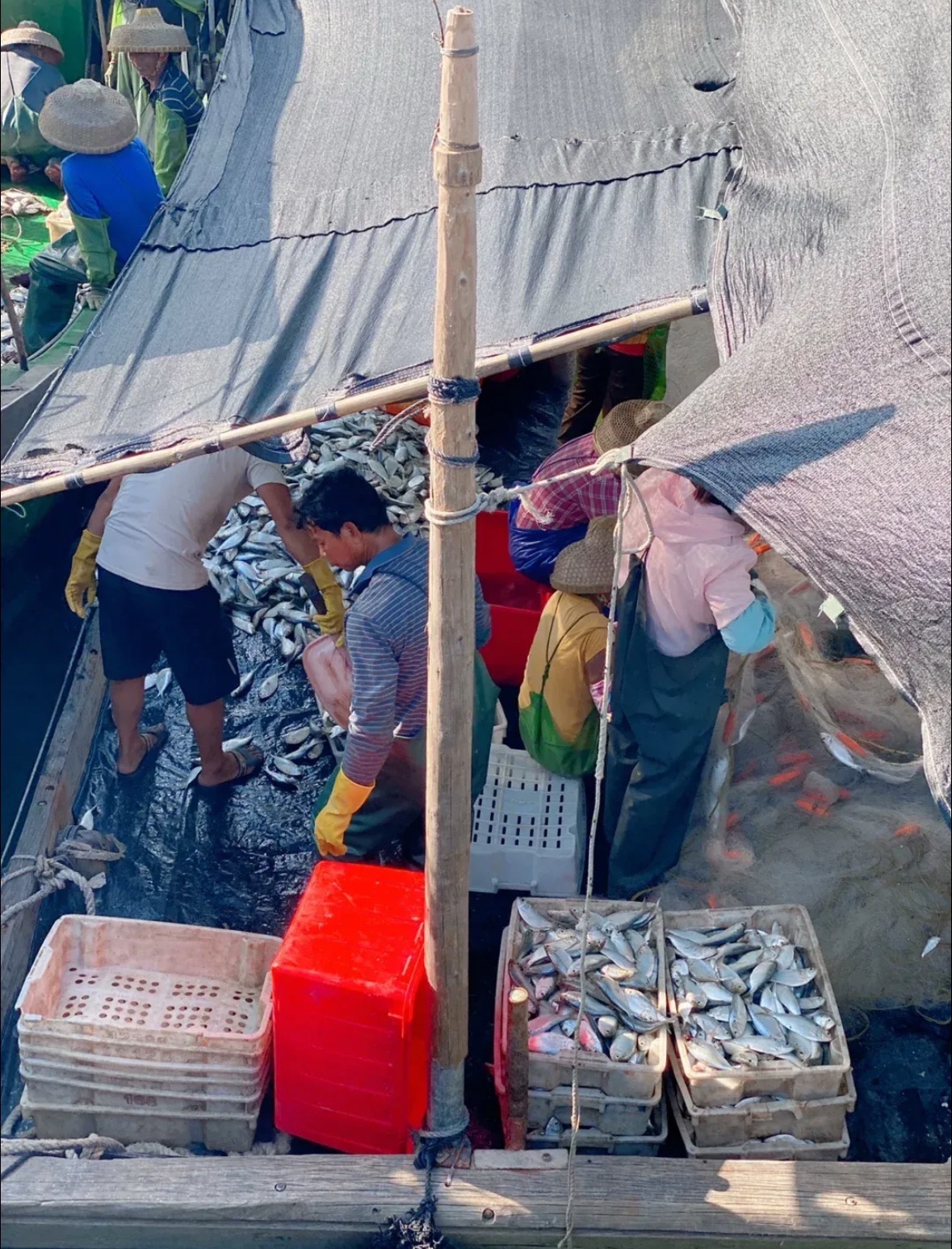 锦和沙滩旅行图片 2