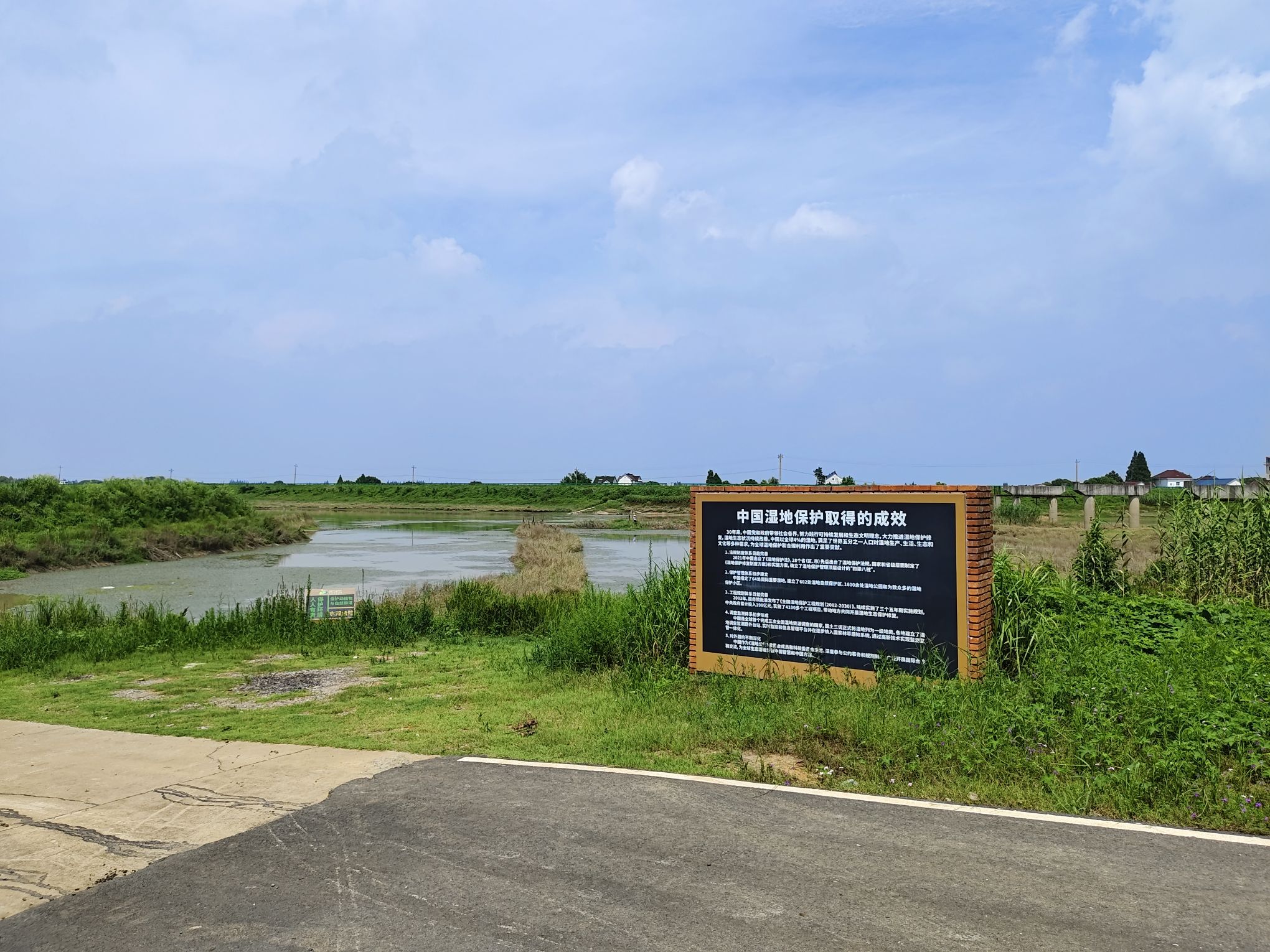 芜湖花桥鳄鱼湖湿地