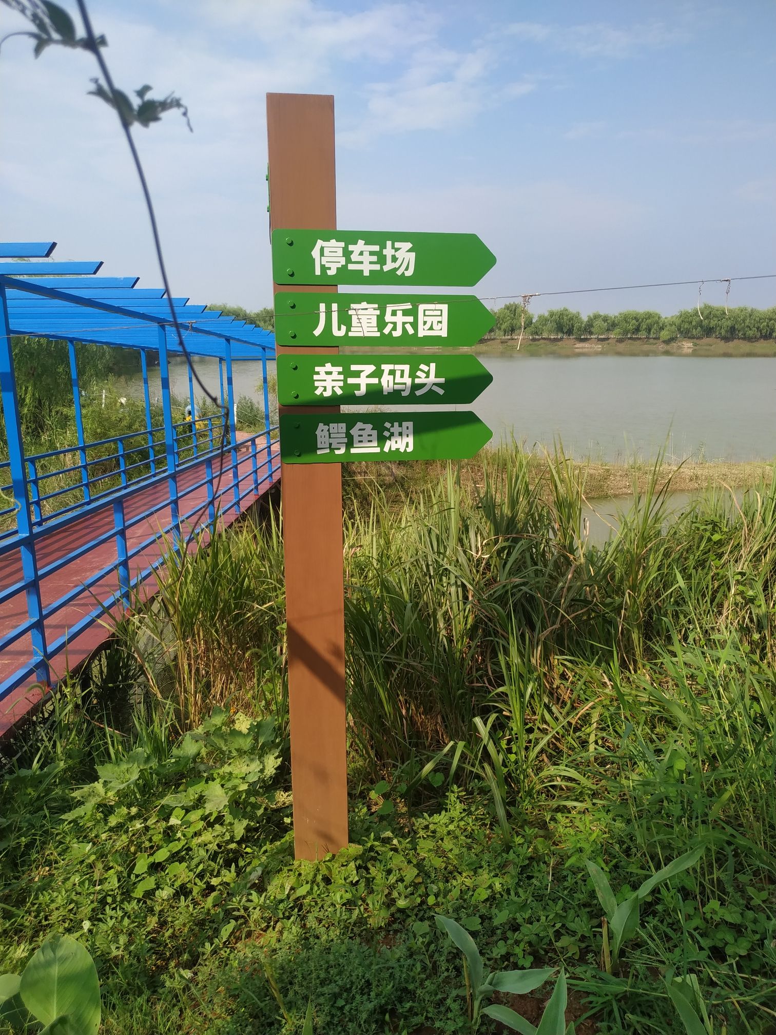 芜湖花桥鳄鱼湖湿地旅行图片 2