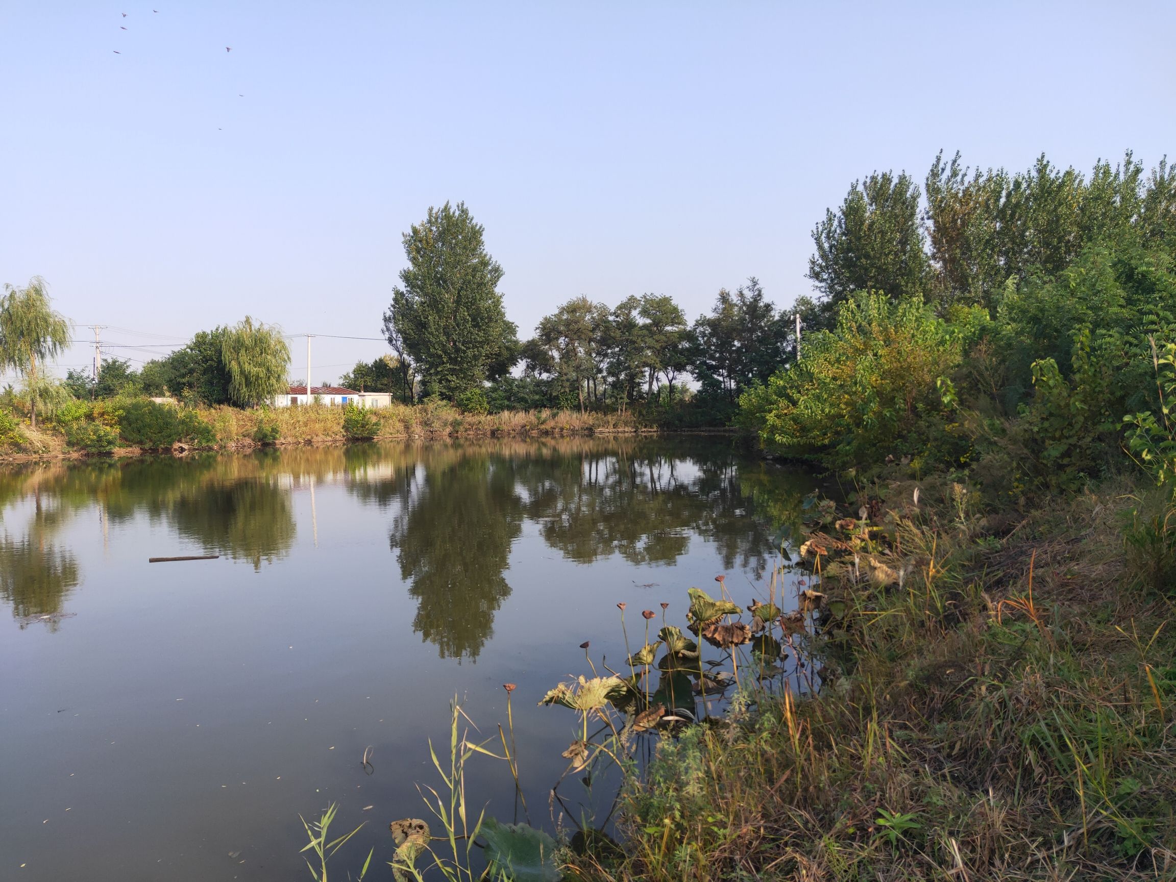 美凌湖公园旅行图片 1