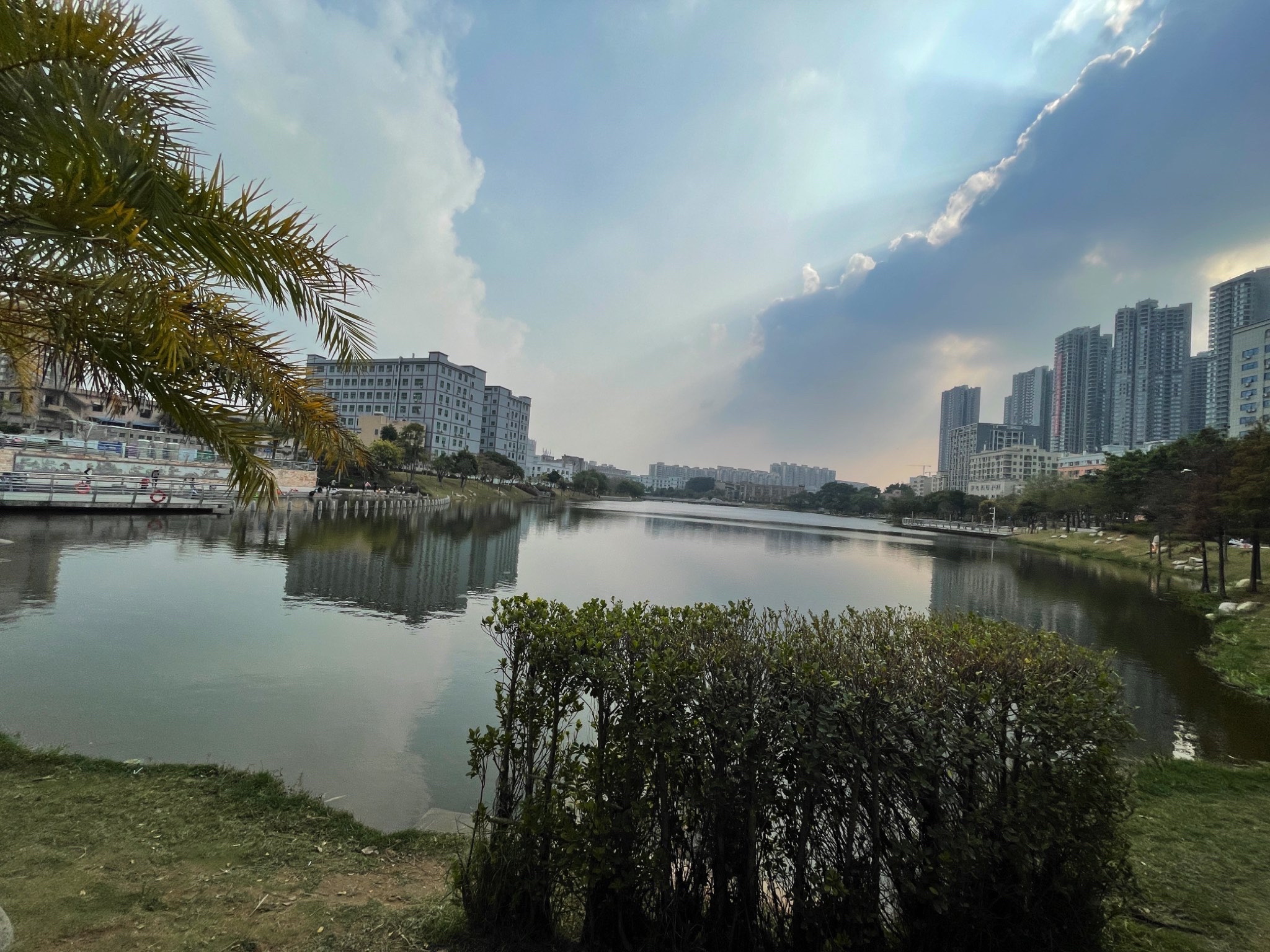 万丰湖湿地公园旅行图片 3