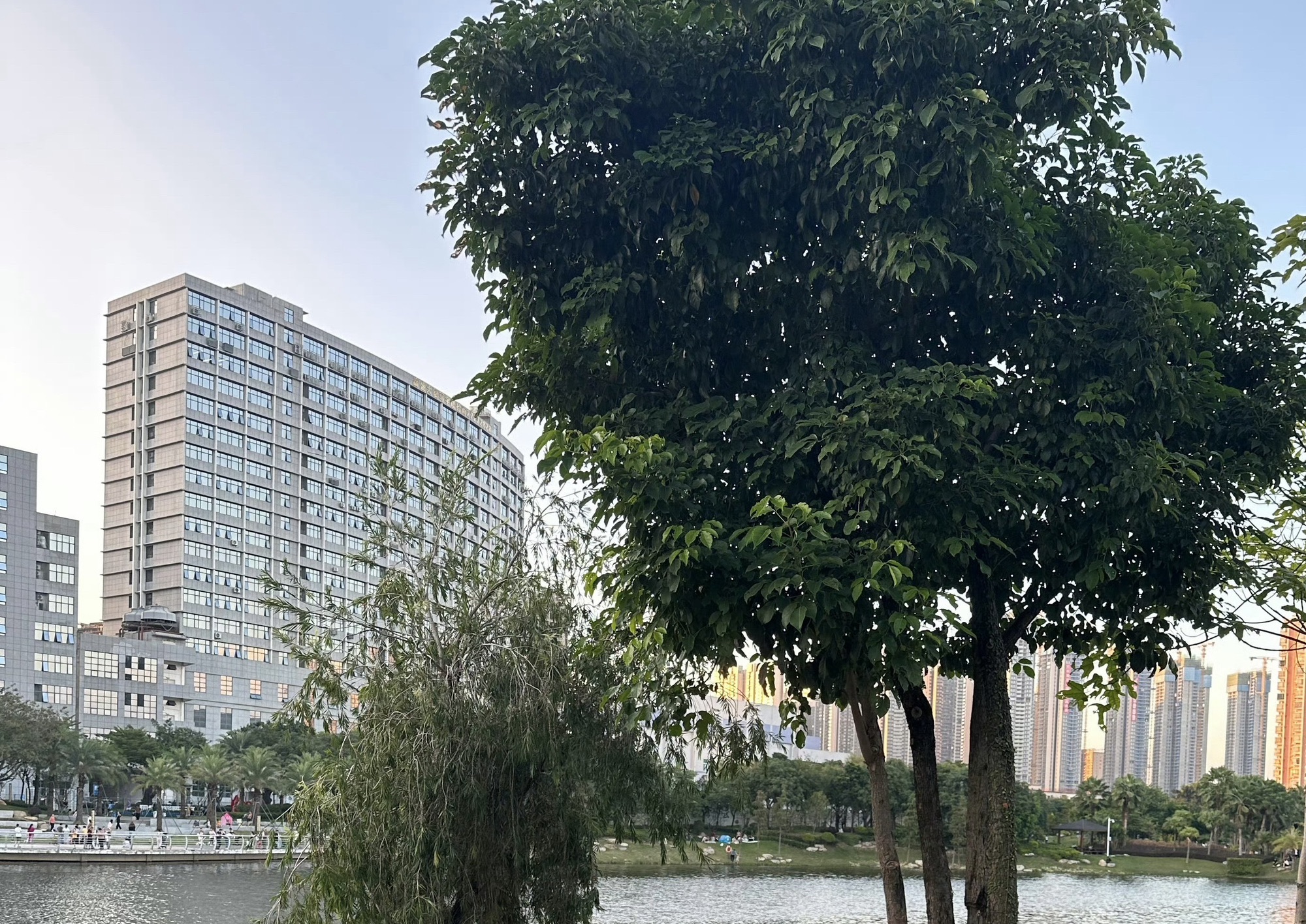 万丰湖湿地公园旅行图片 1