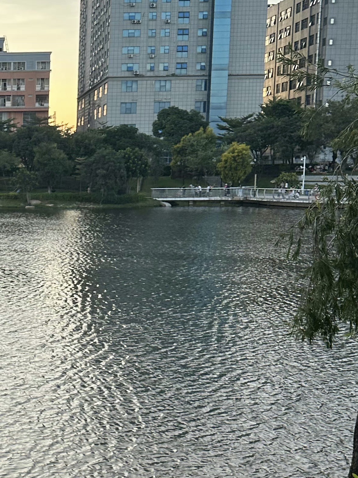 万丰湖湿地公园旅行图片 2