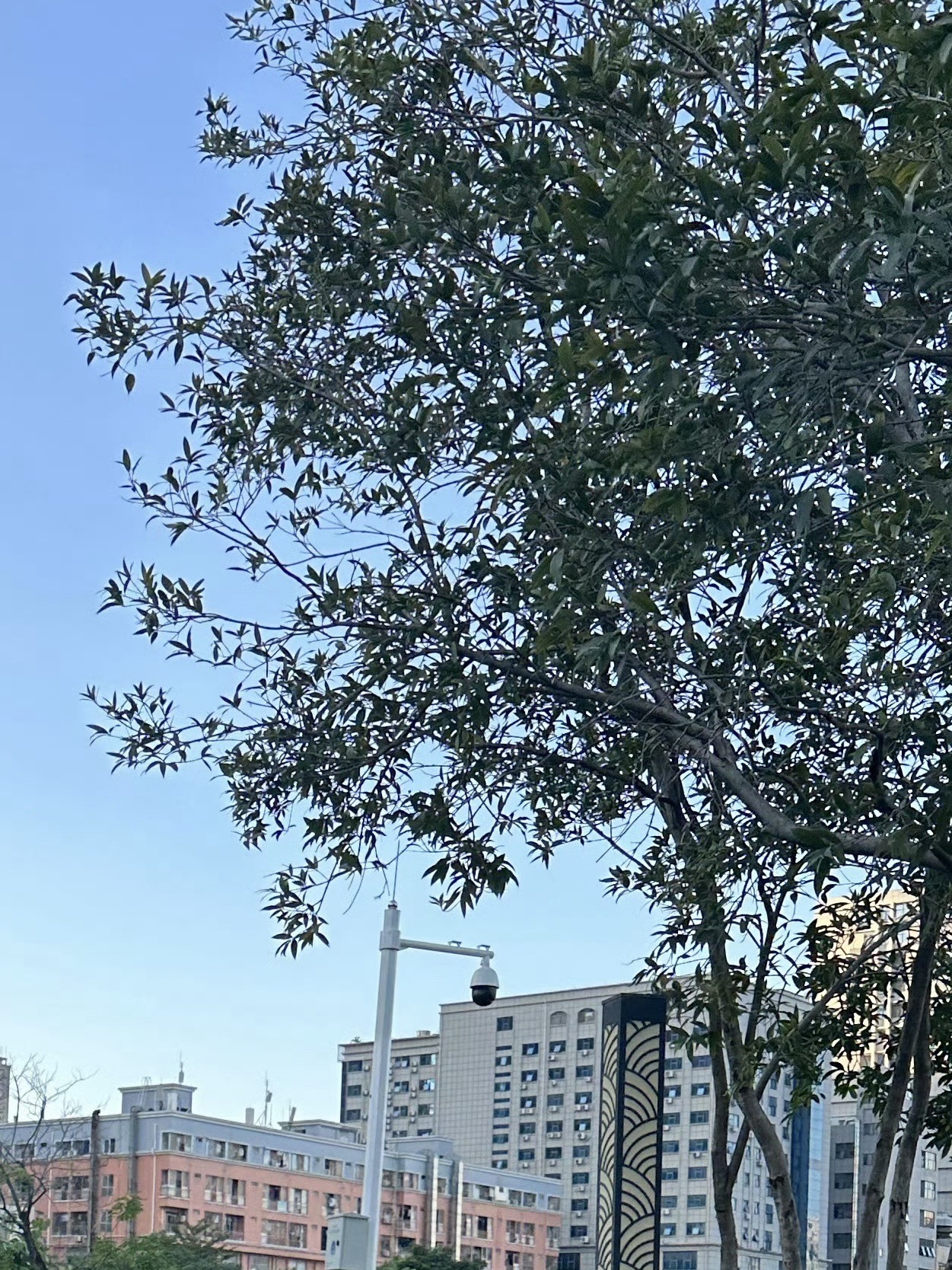 万丰湖湿地公园旅行图片 3