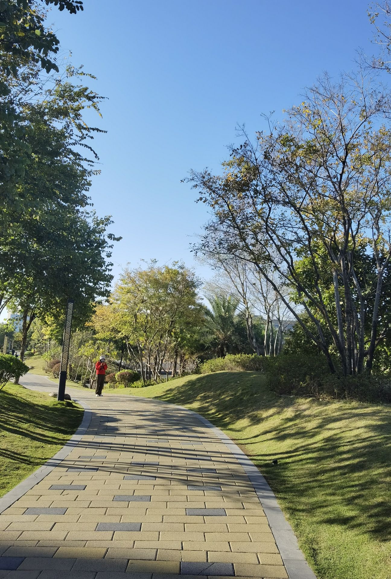万丰湖湿地公园旅行图片 3