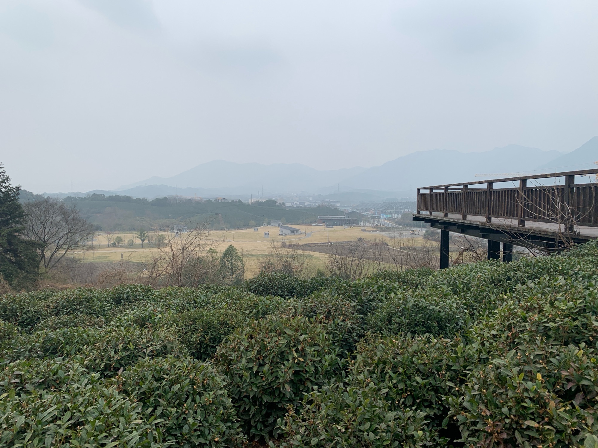 杭州龙坞茶镇旅行图片 2