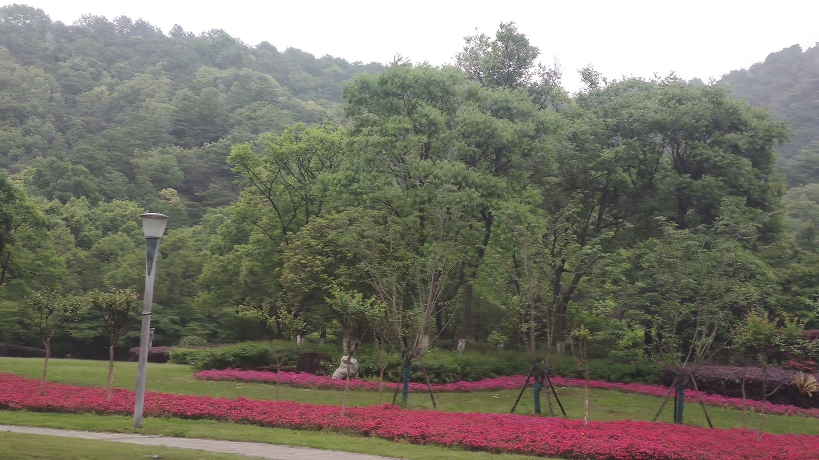 杭州龙坞茶镇旅行图片 2