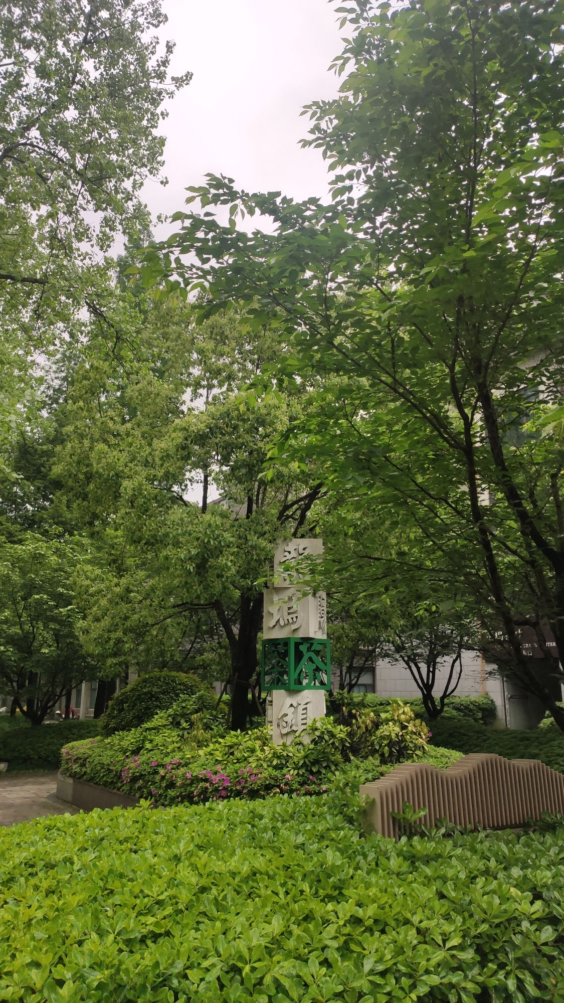 杭州龙坞茶镇旅行图片 3