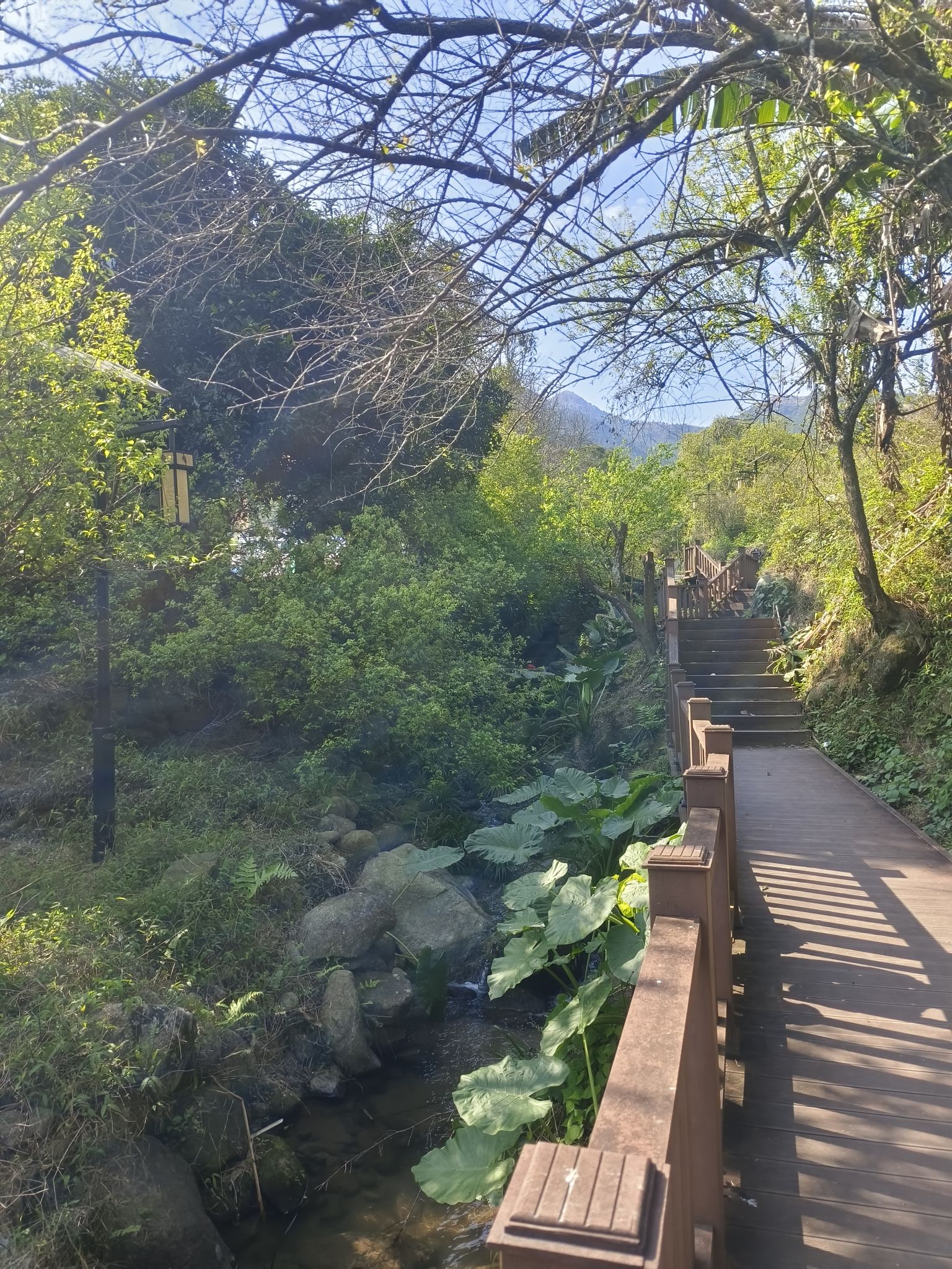 名山生态旅游区旅行图片 2