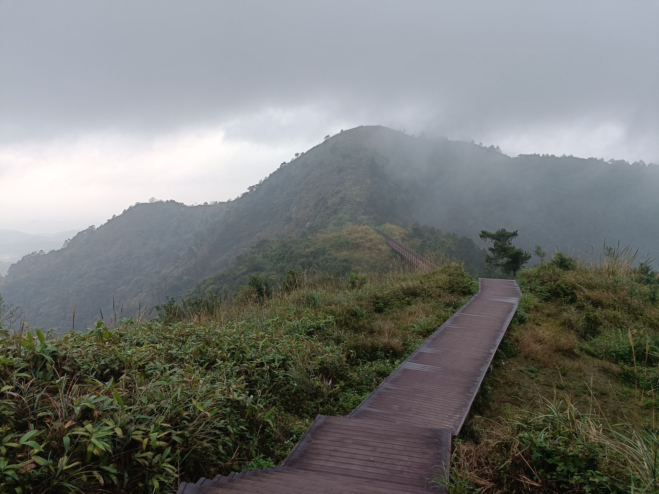 名山生态旅游区旅行图片 3