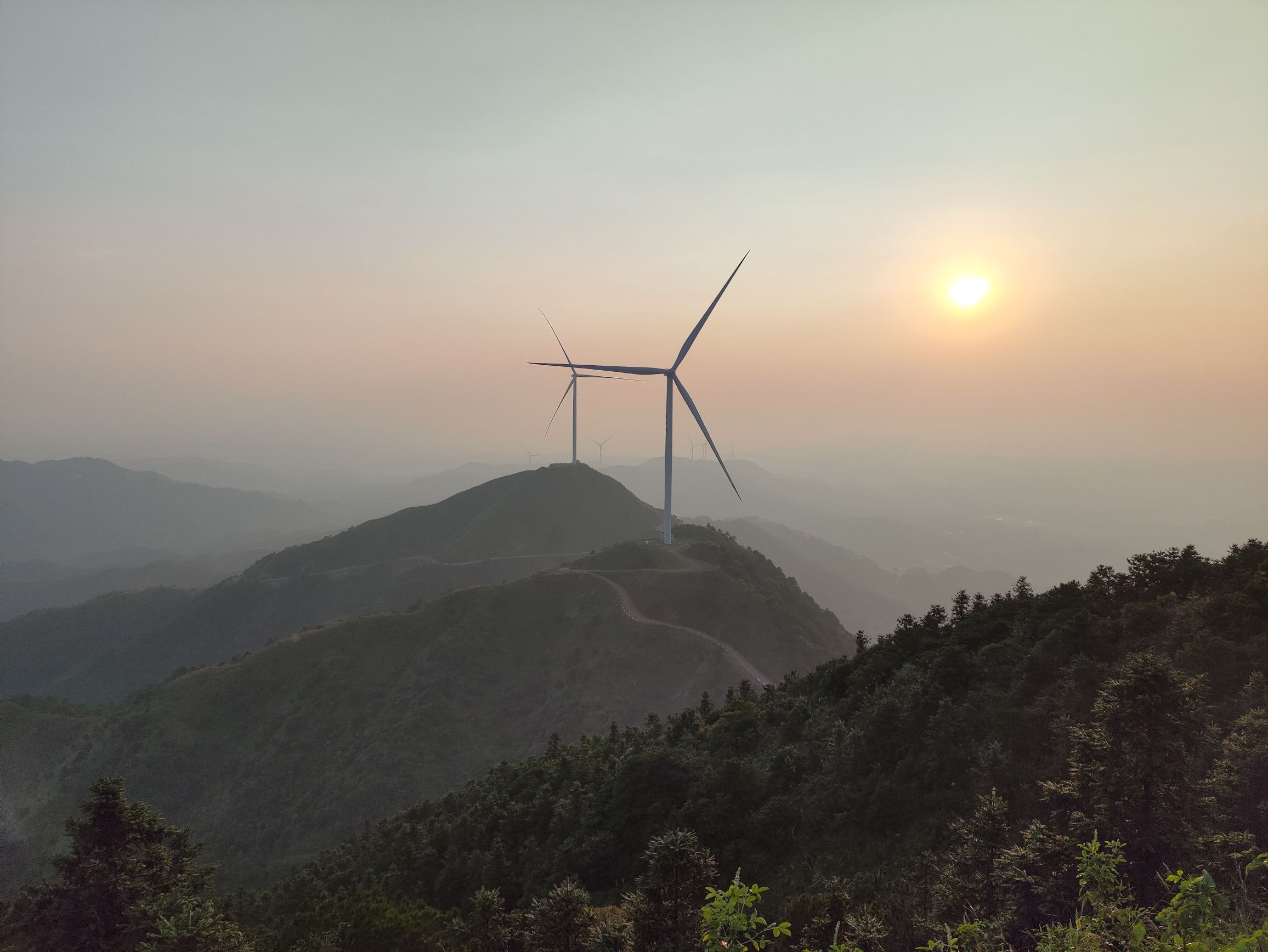名山生态旅游区旅行图片 3