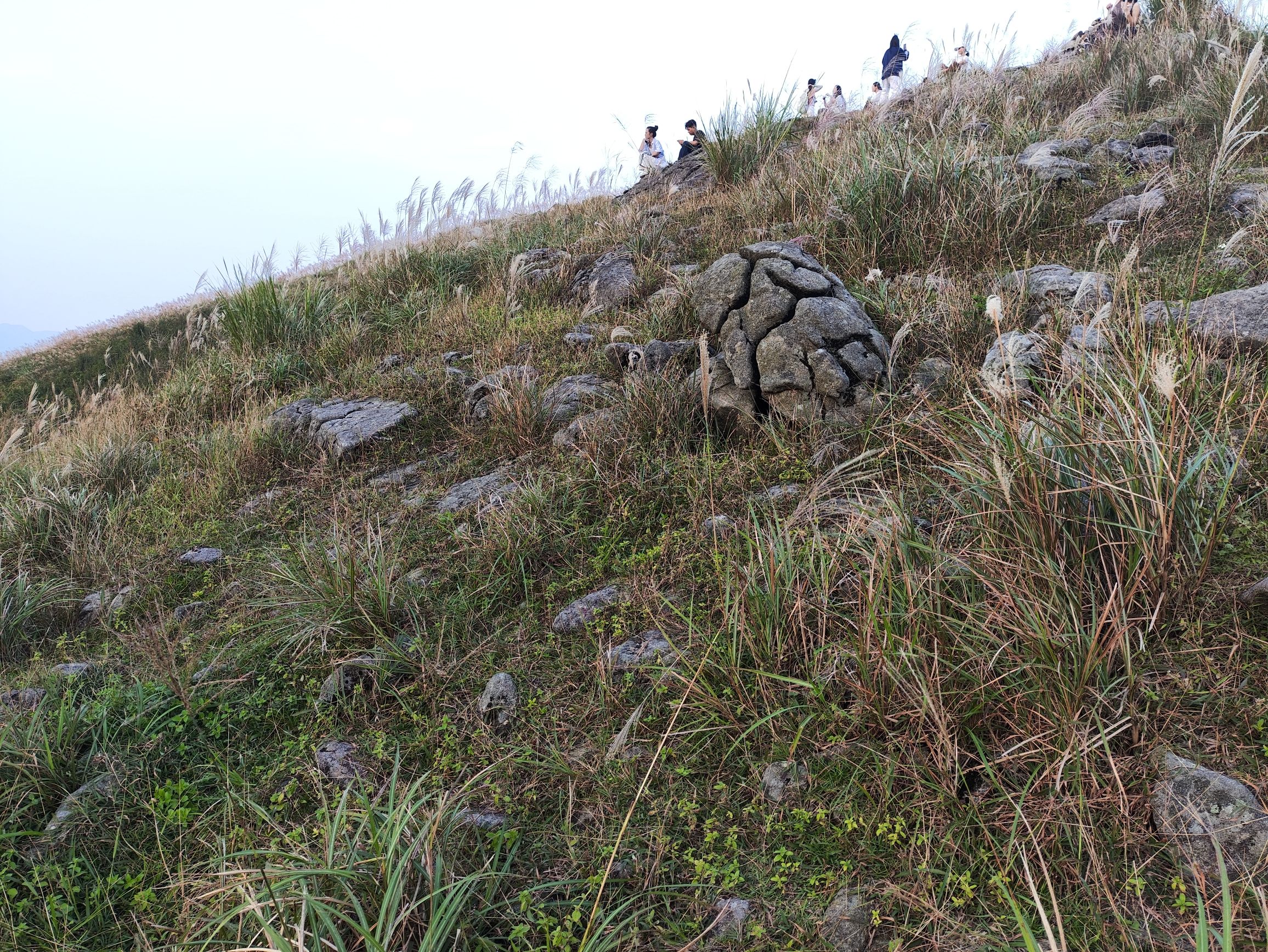 名山生态旅游区旅行图片 2
